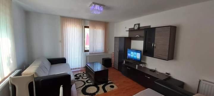 Apartman Ivanovic 4