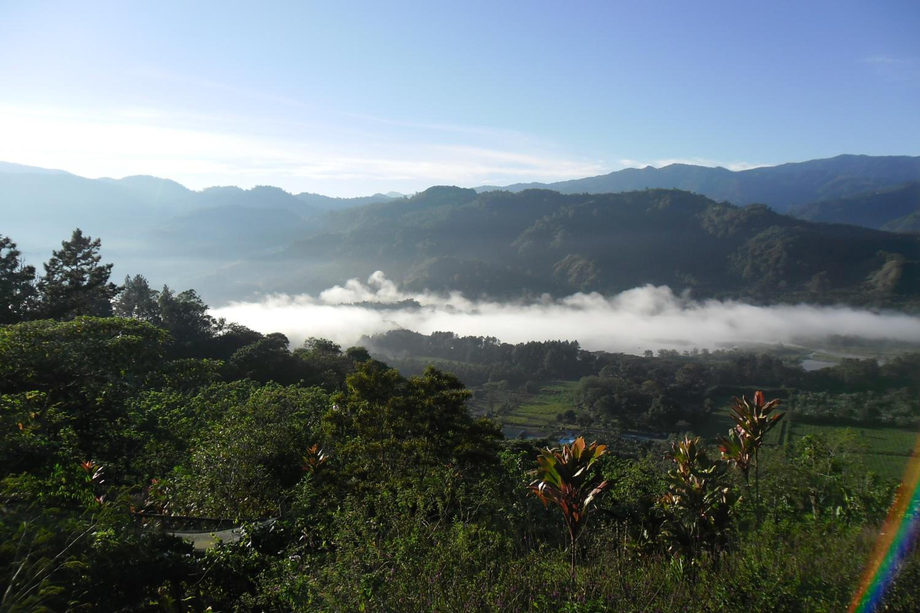 Rinconcito Verde