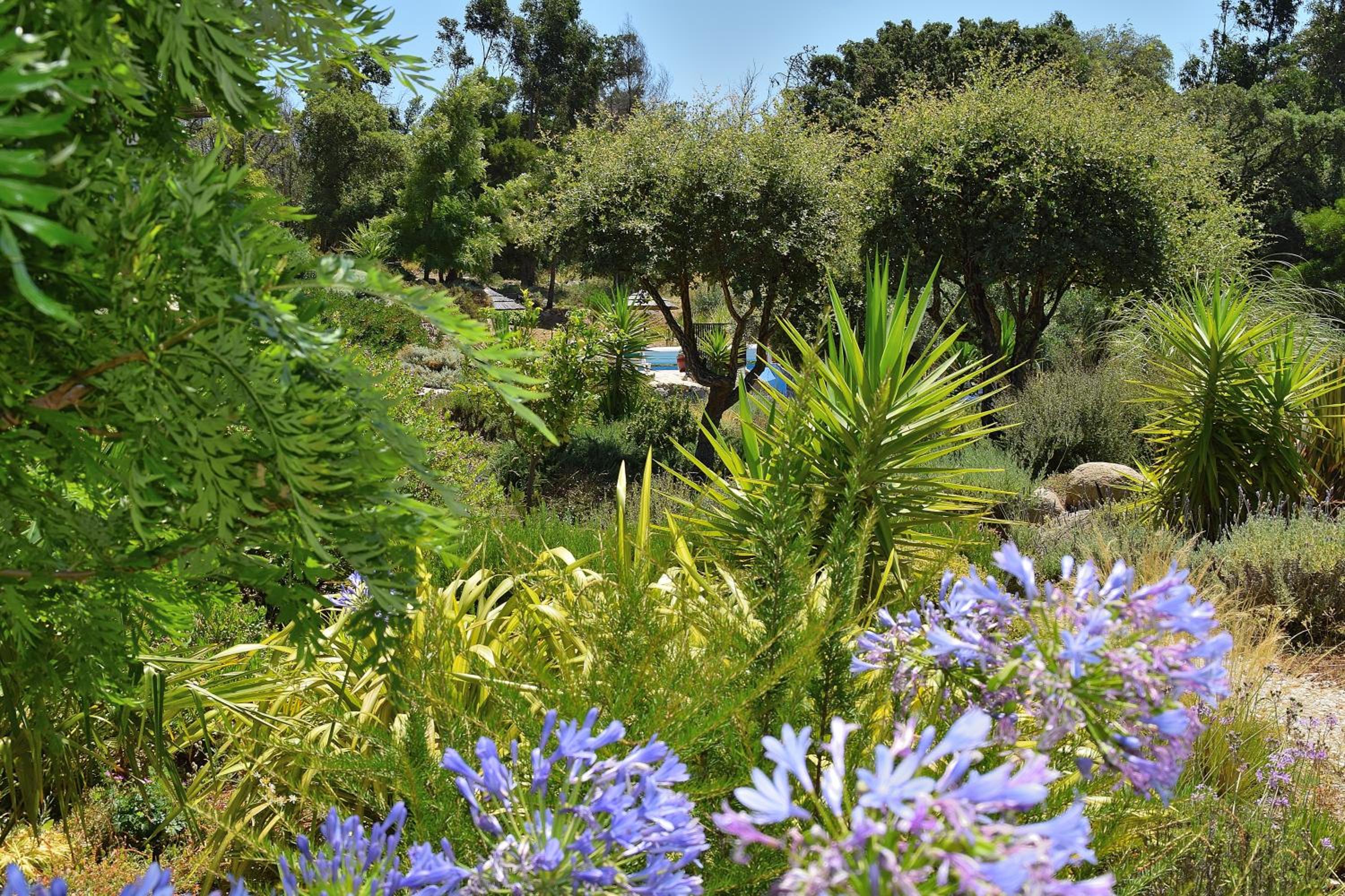 Photo 43