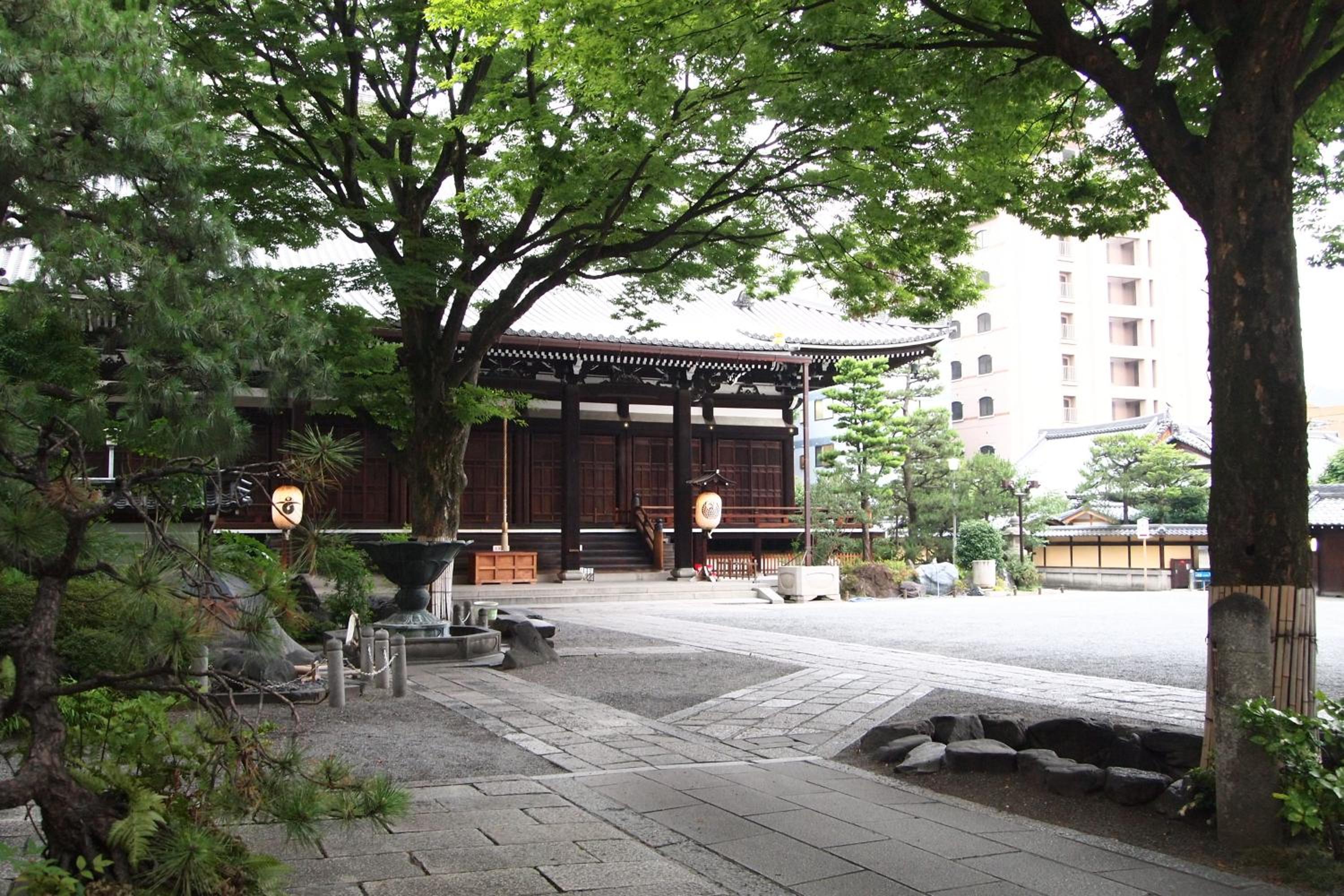 Photo 14