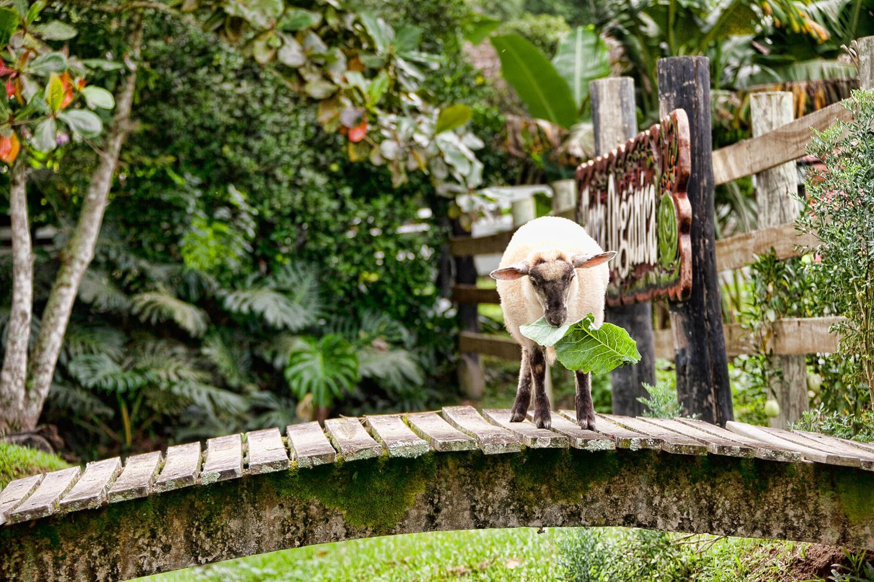 Fazzenda Park Resort