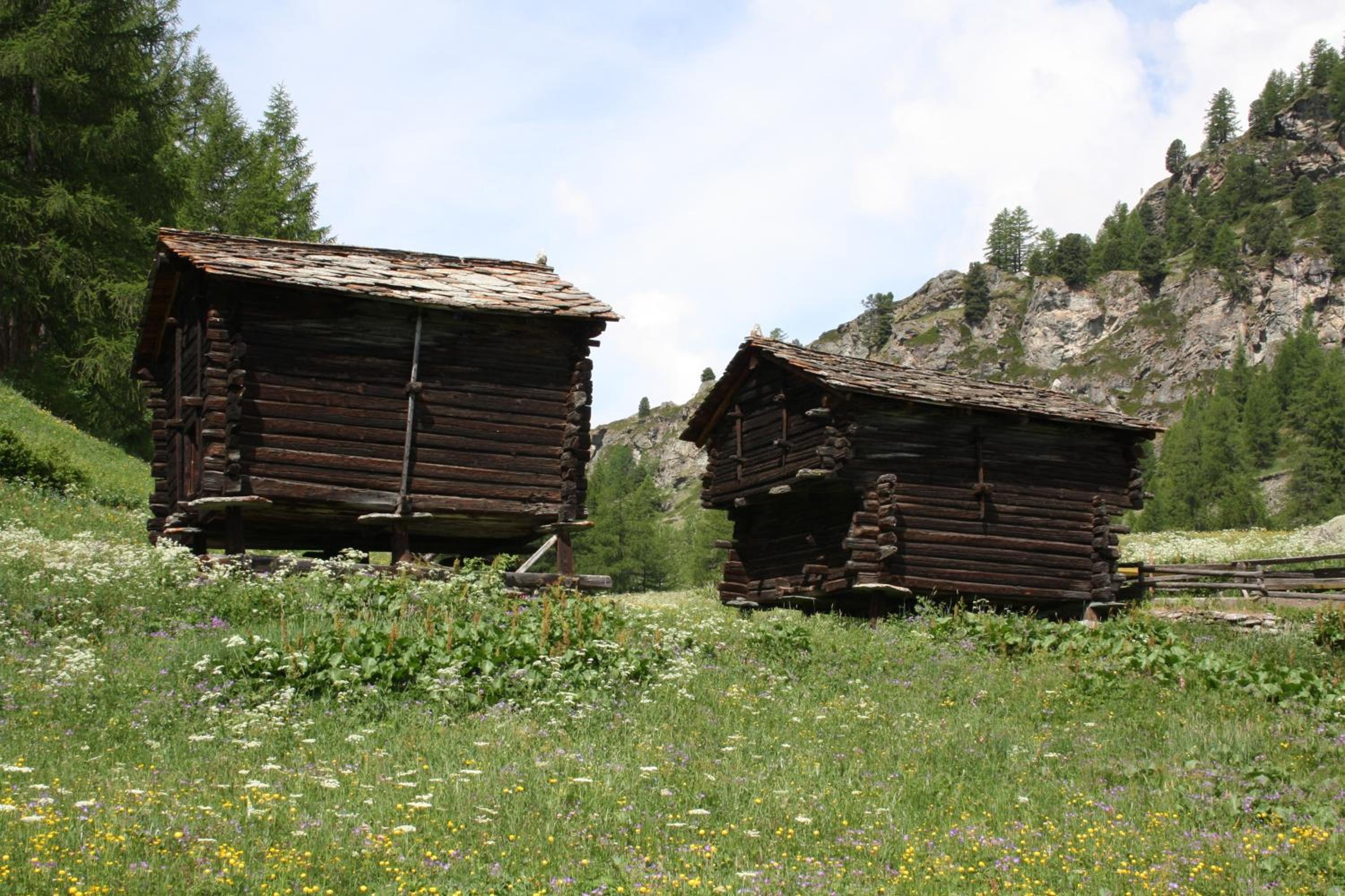 Photo 40