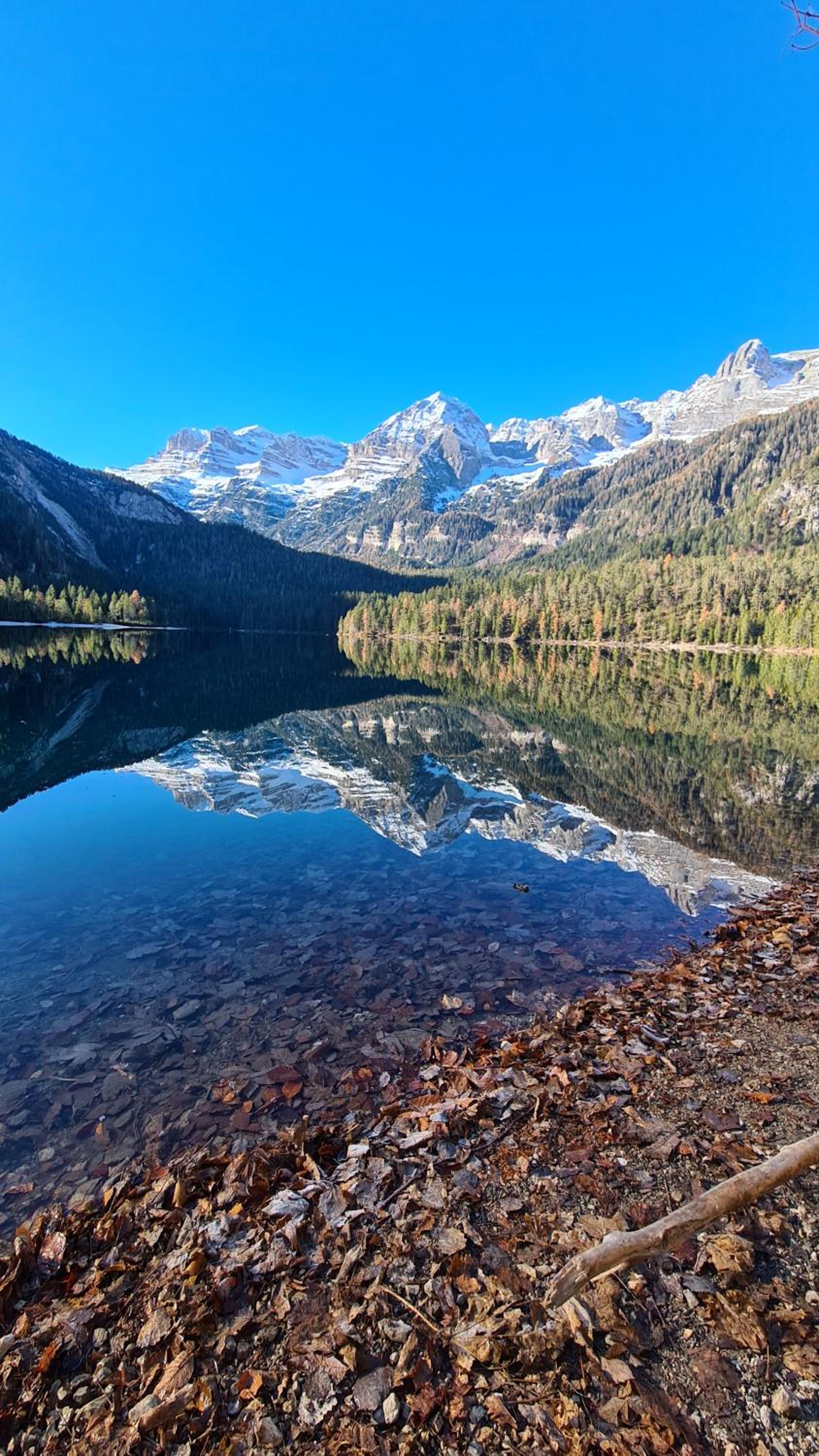 Appartamento con panorama sulla Val di Sole, Natura, Trekking e Relax view 5