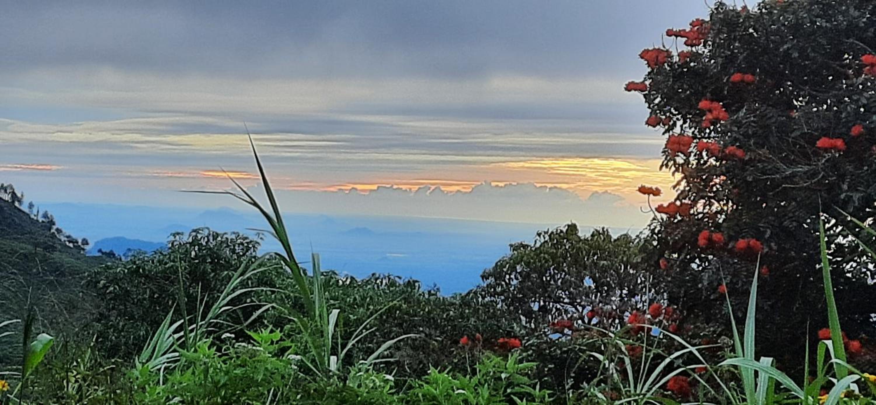 AMARASINGHE GUEST HOUSE view 5