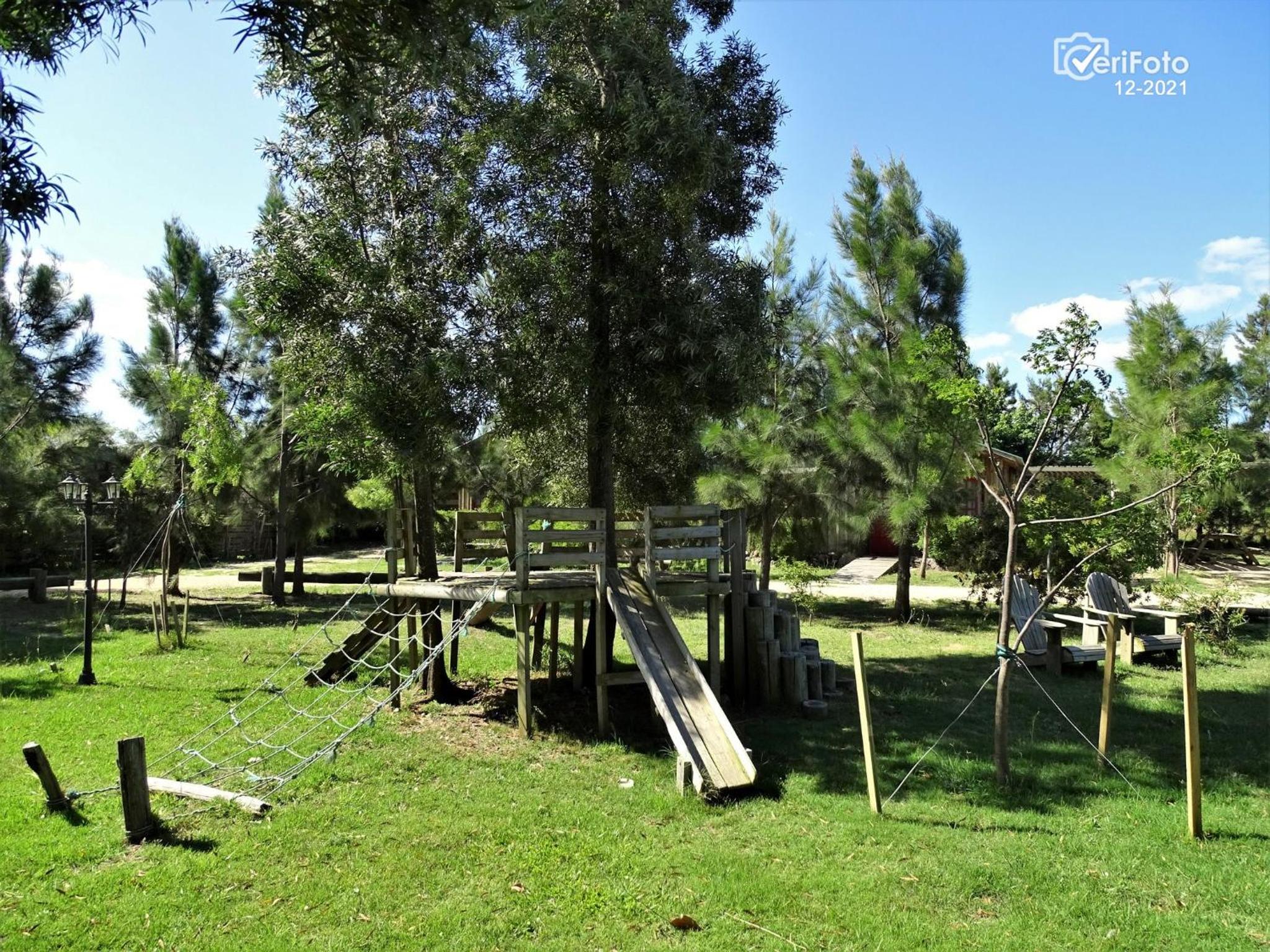 Photo 40