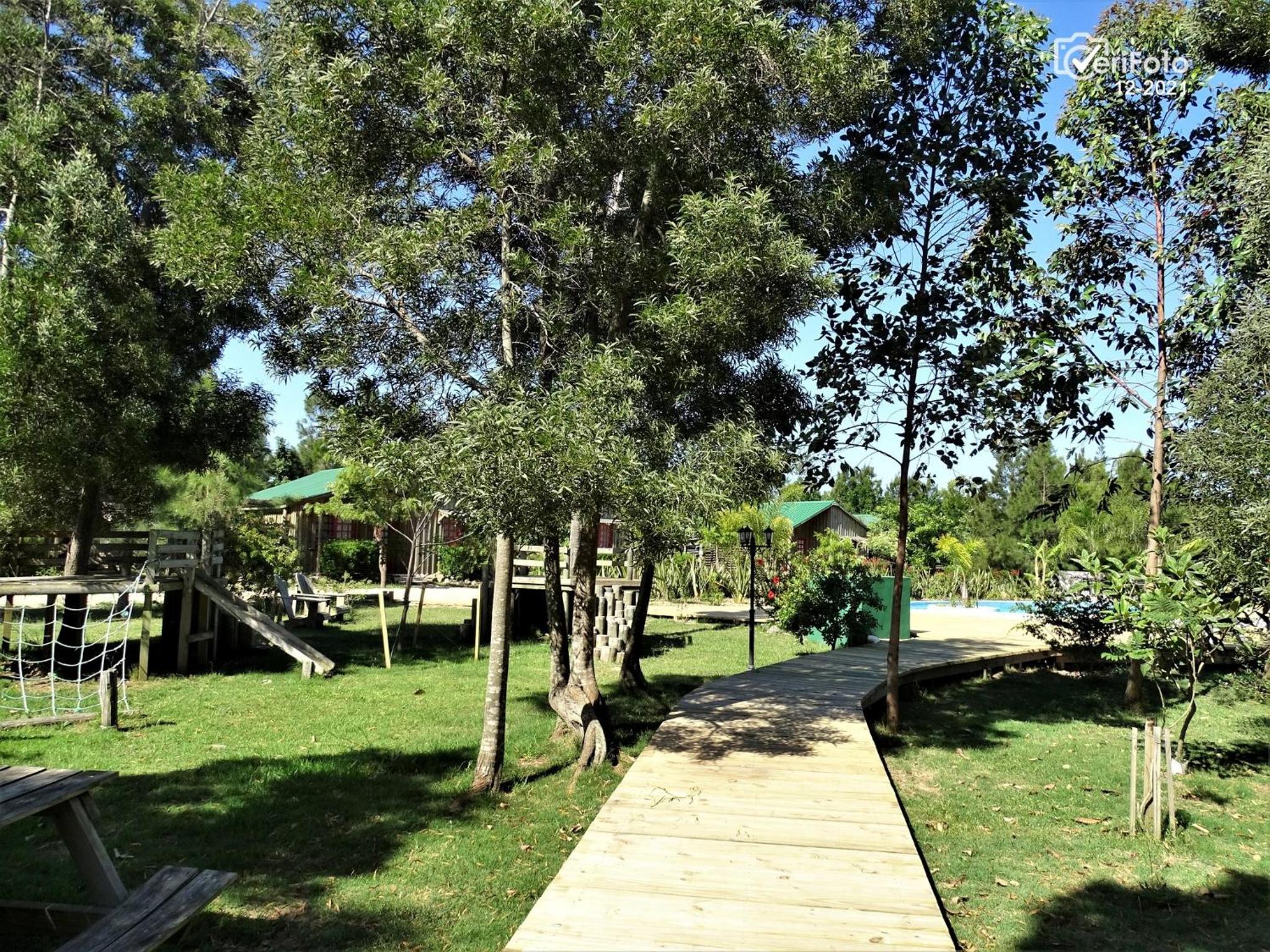 Photo 46