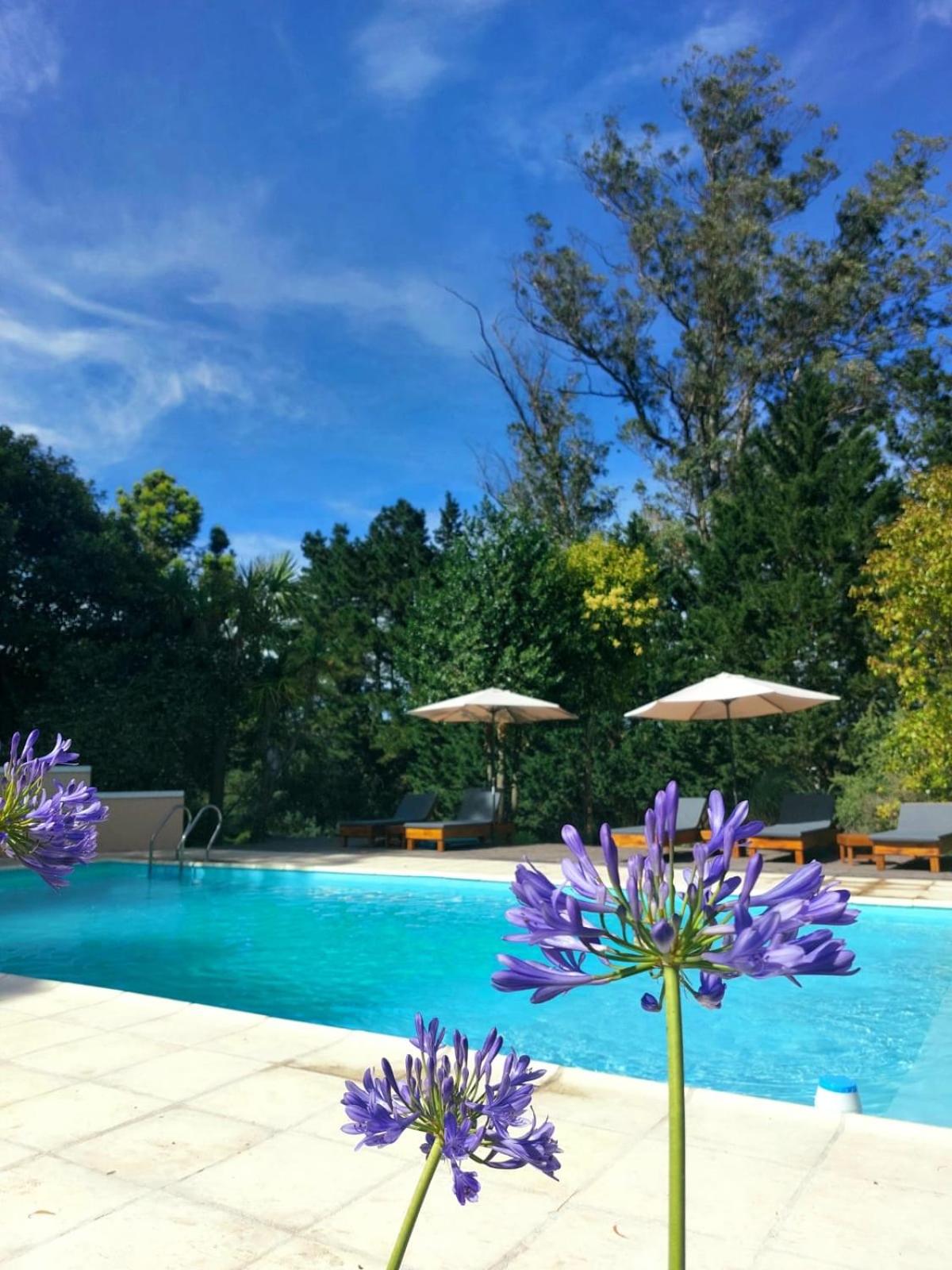 Casa de Campo Las Acacias