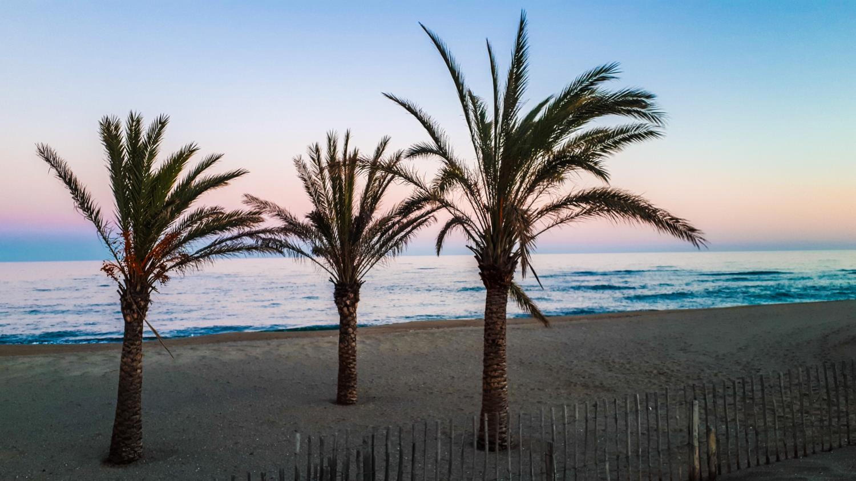 Superbe vue mer avec accès direct plage et parking