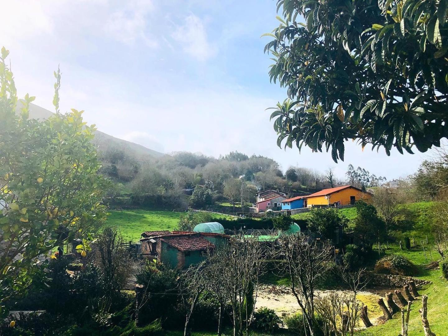 La Galayca