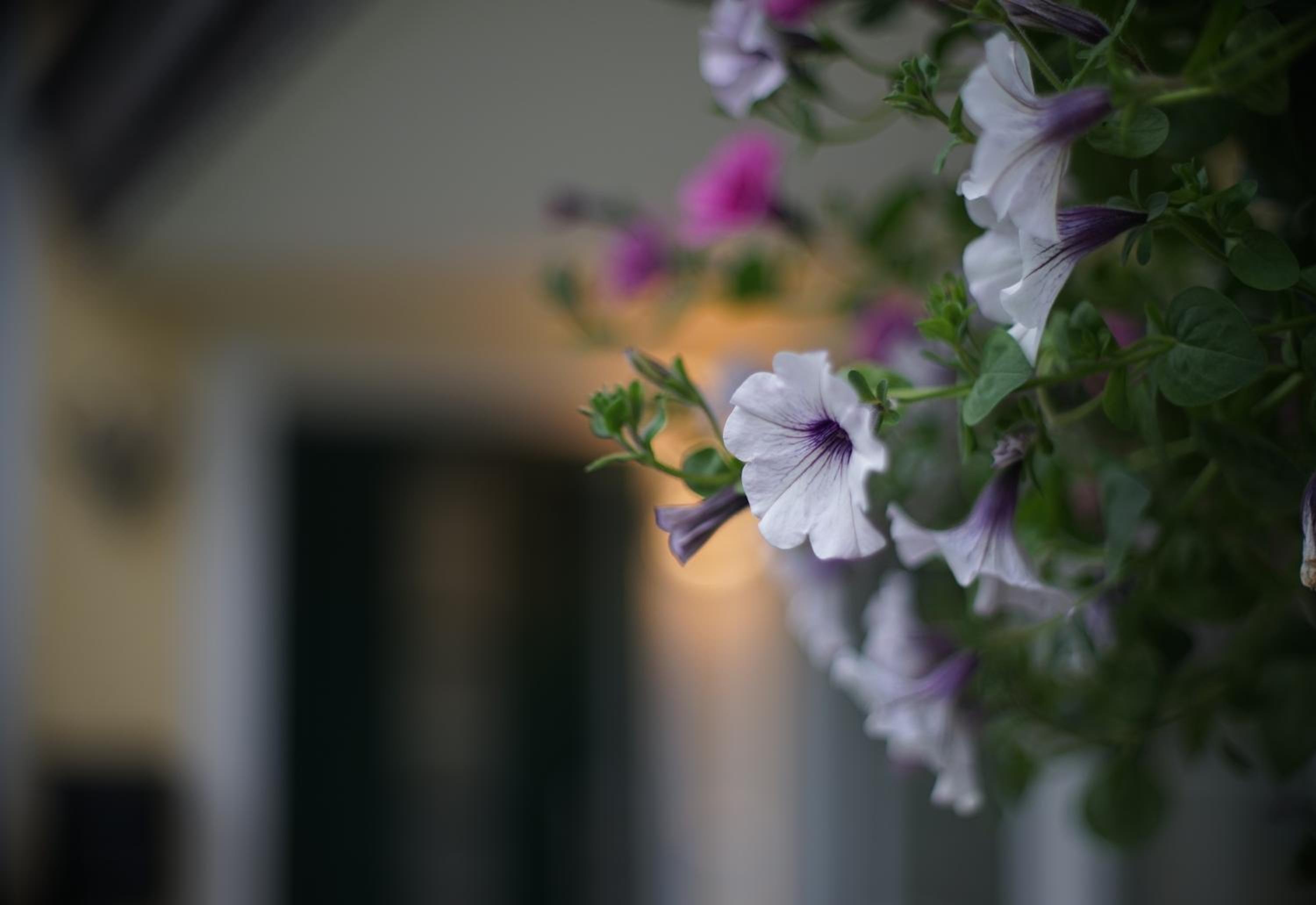 Landhaus Lilly