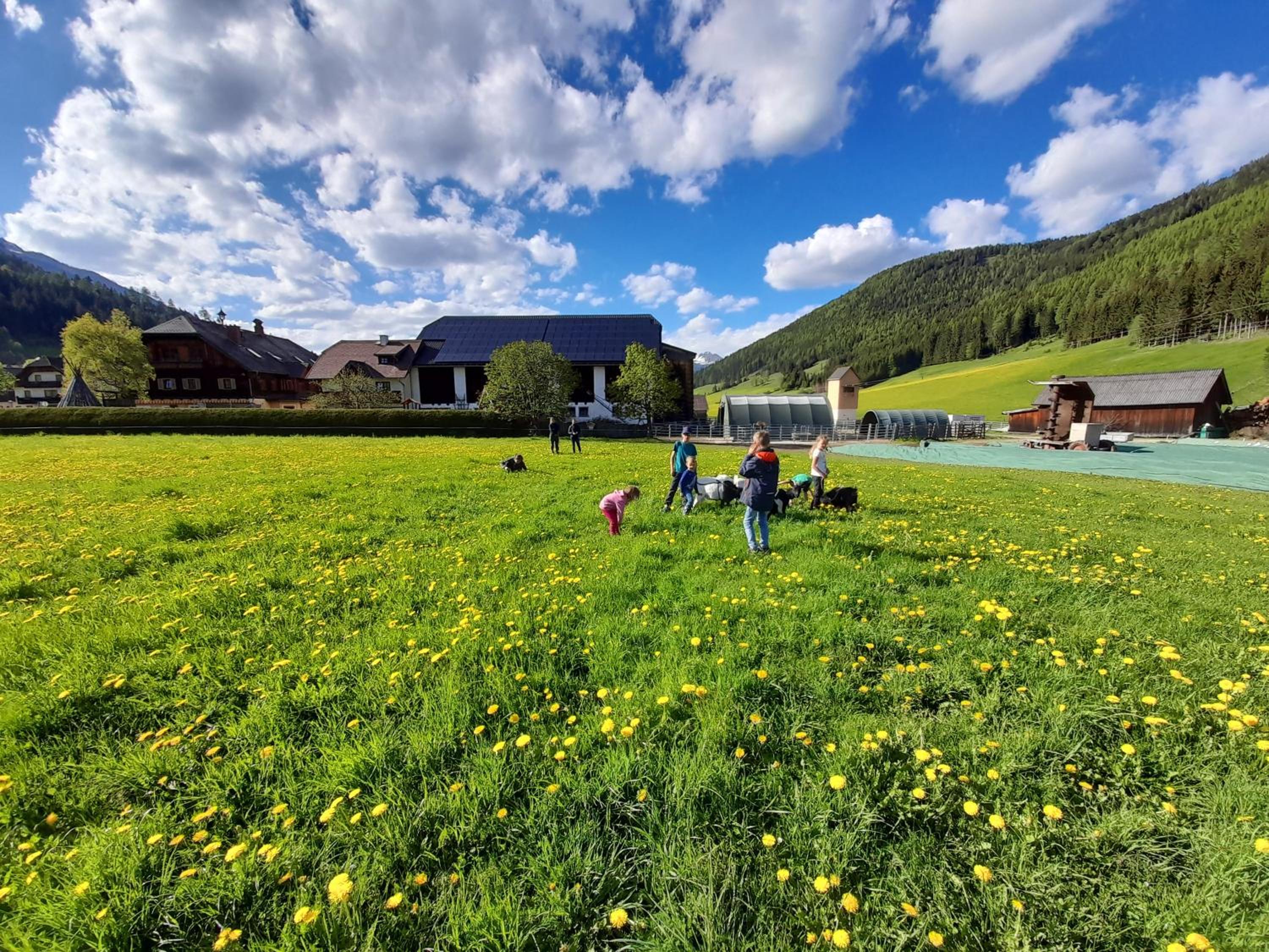 Sonnenchalet Neusess