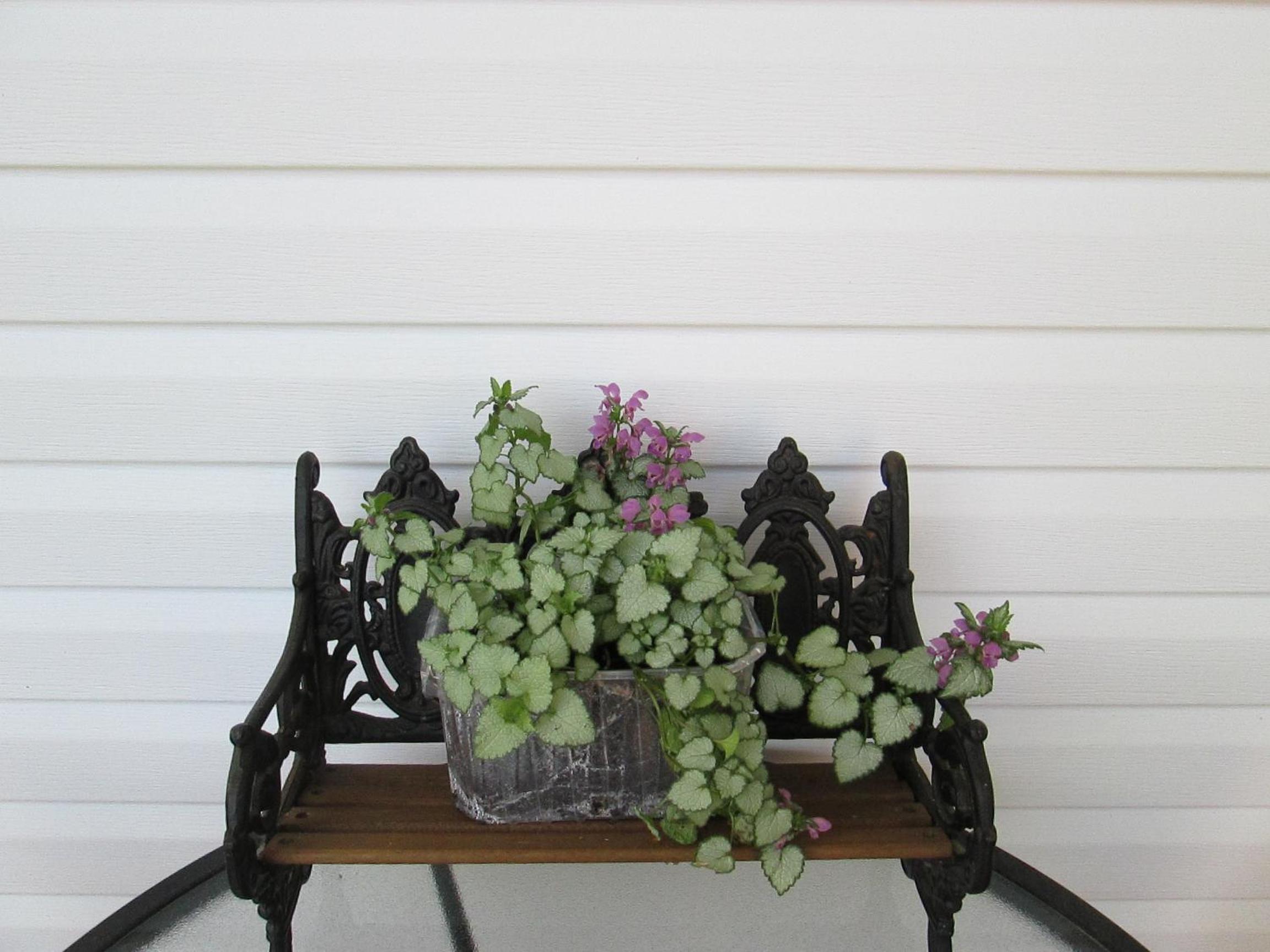 Photo 20