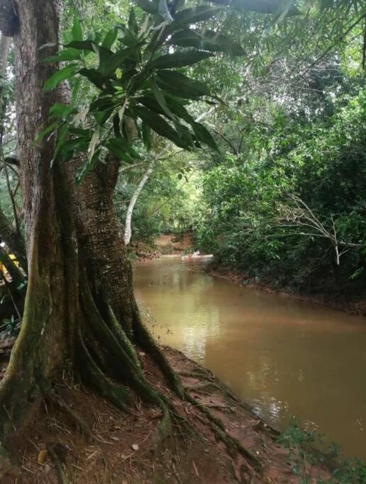 Villa Clara Casa Campestre, Piscina, Naturaleza, Paseo de Río