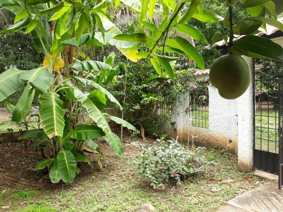 Villa Clara Casa Campestre, Piscina, Naturaleza, Paseo de Río