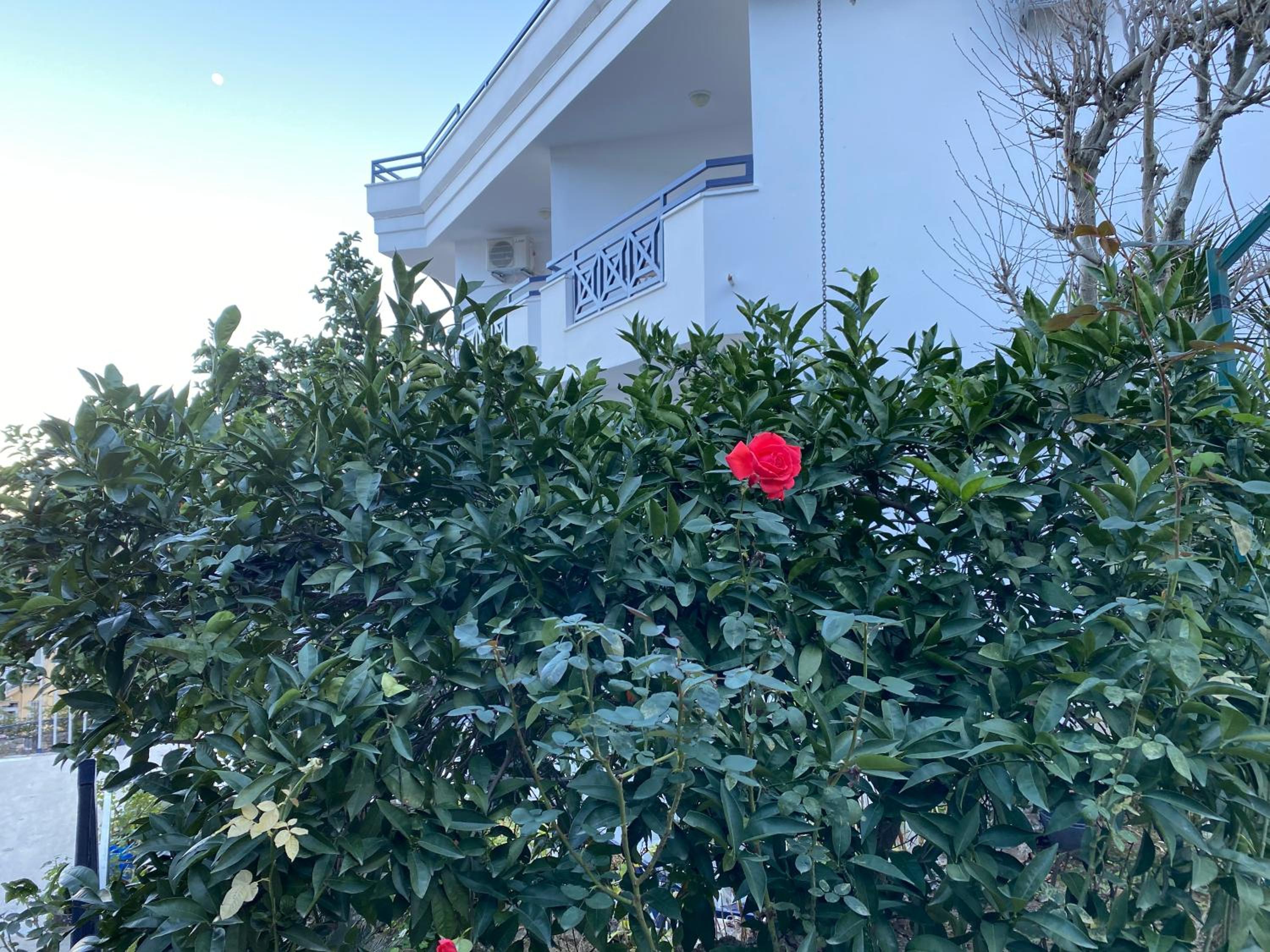 NATURELLA APART HOTEL - Image 220