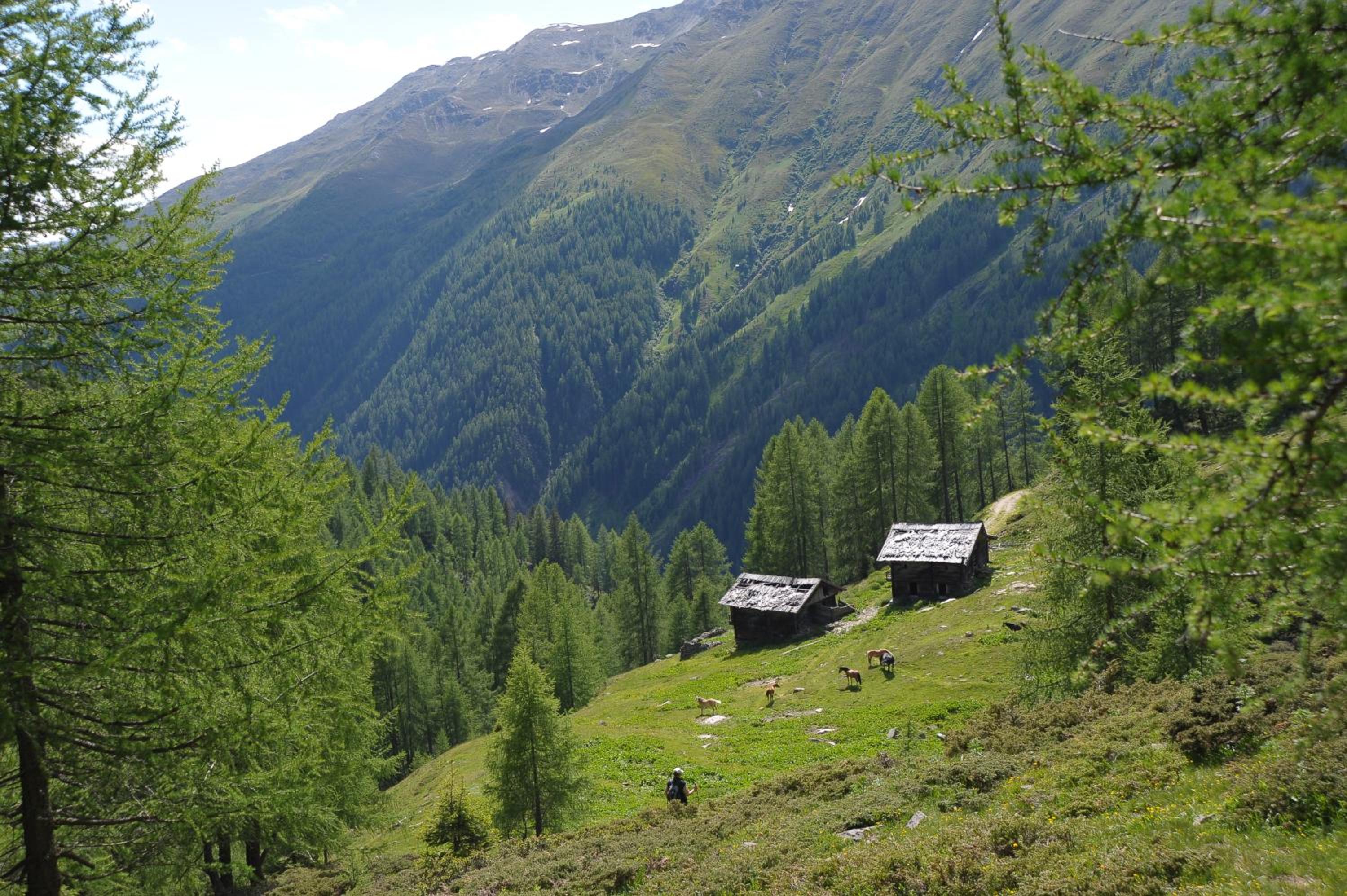 Oberschupferhof
