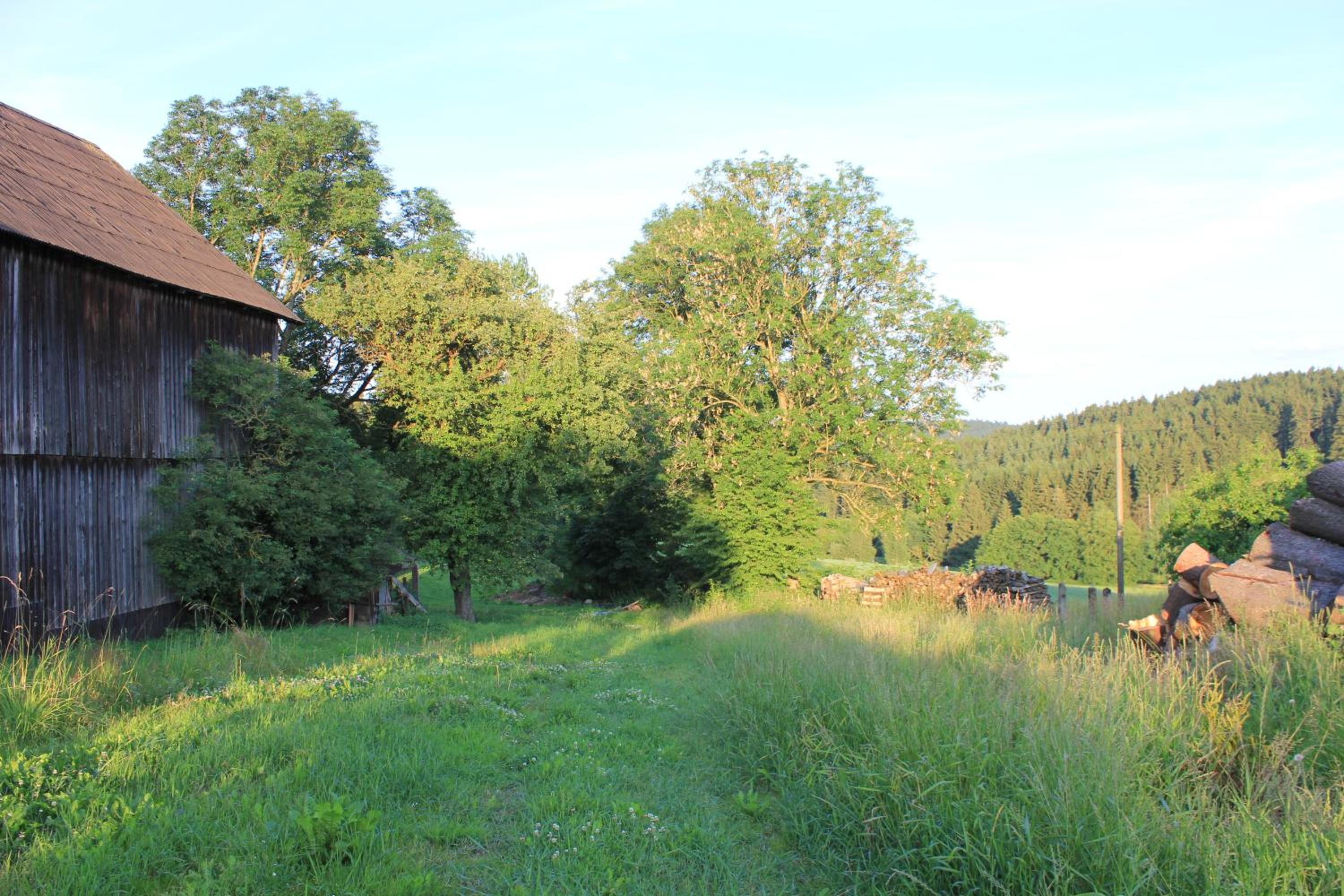 Photo 26