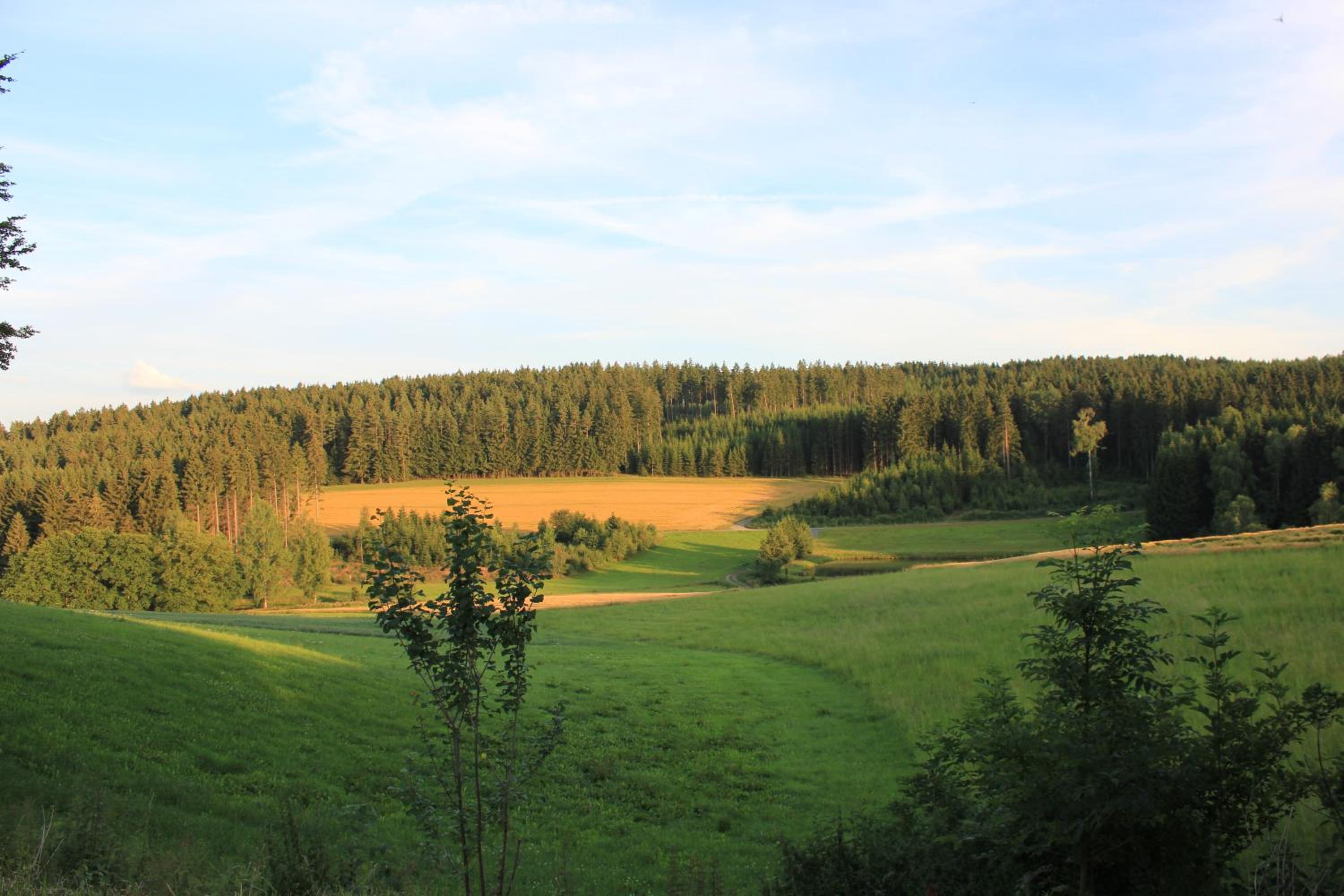 Photo 24