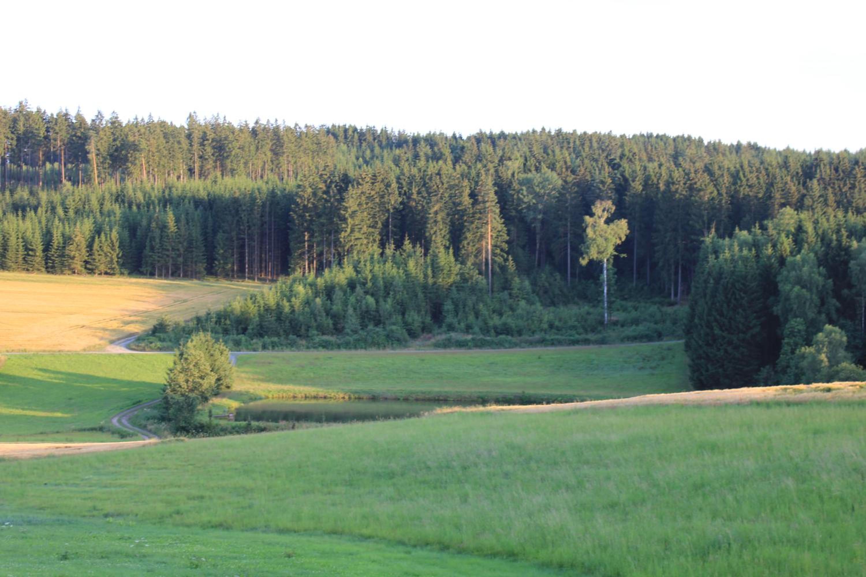 Photo 25