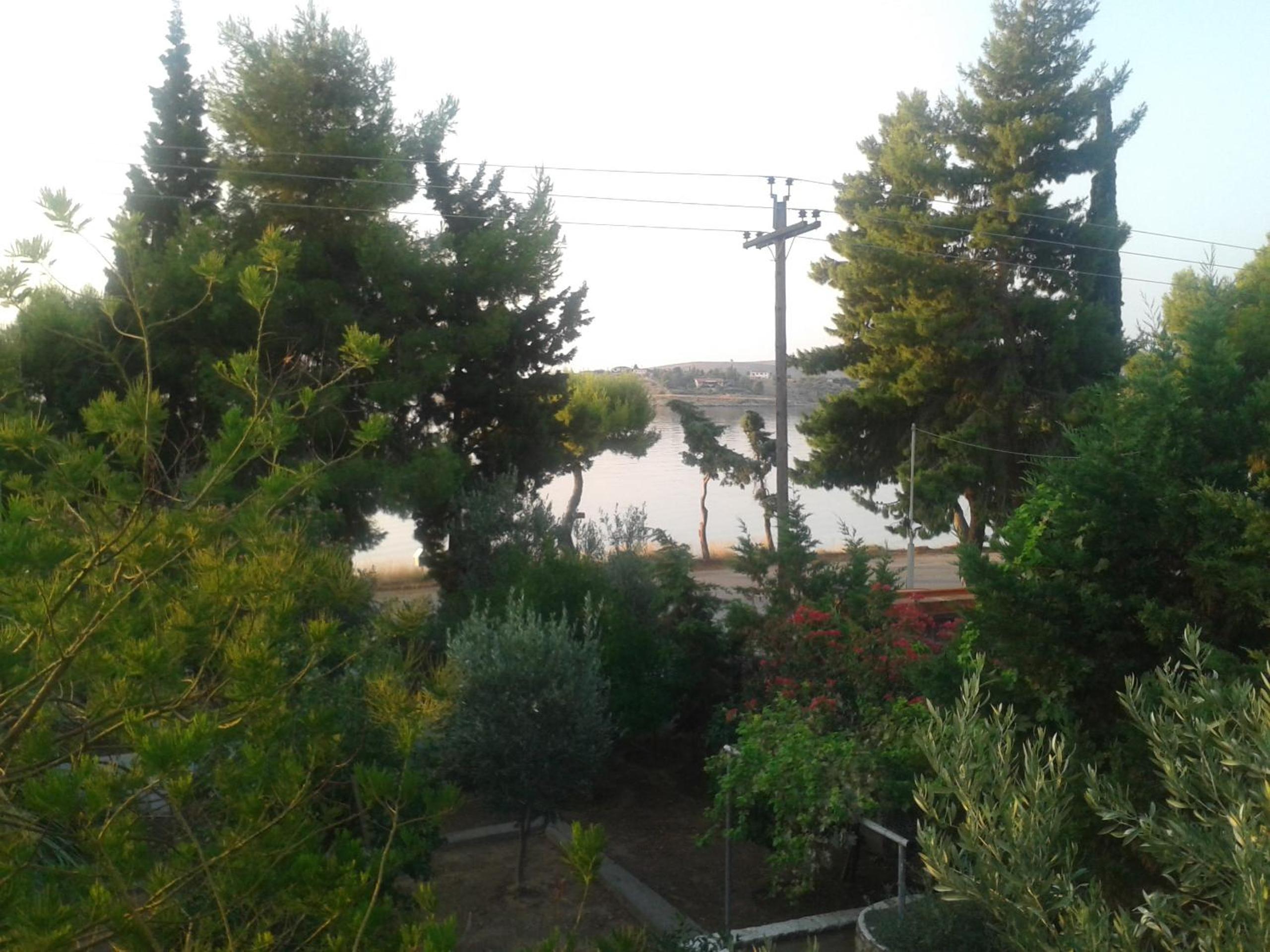 Photo 40