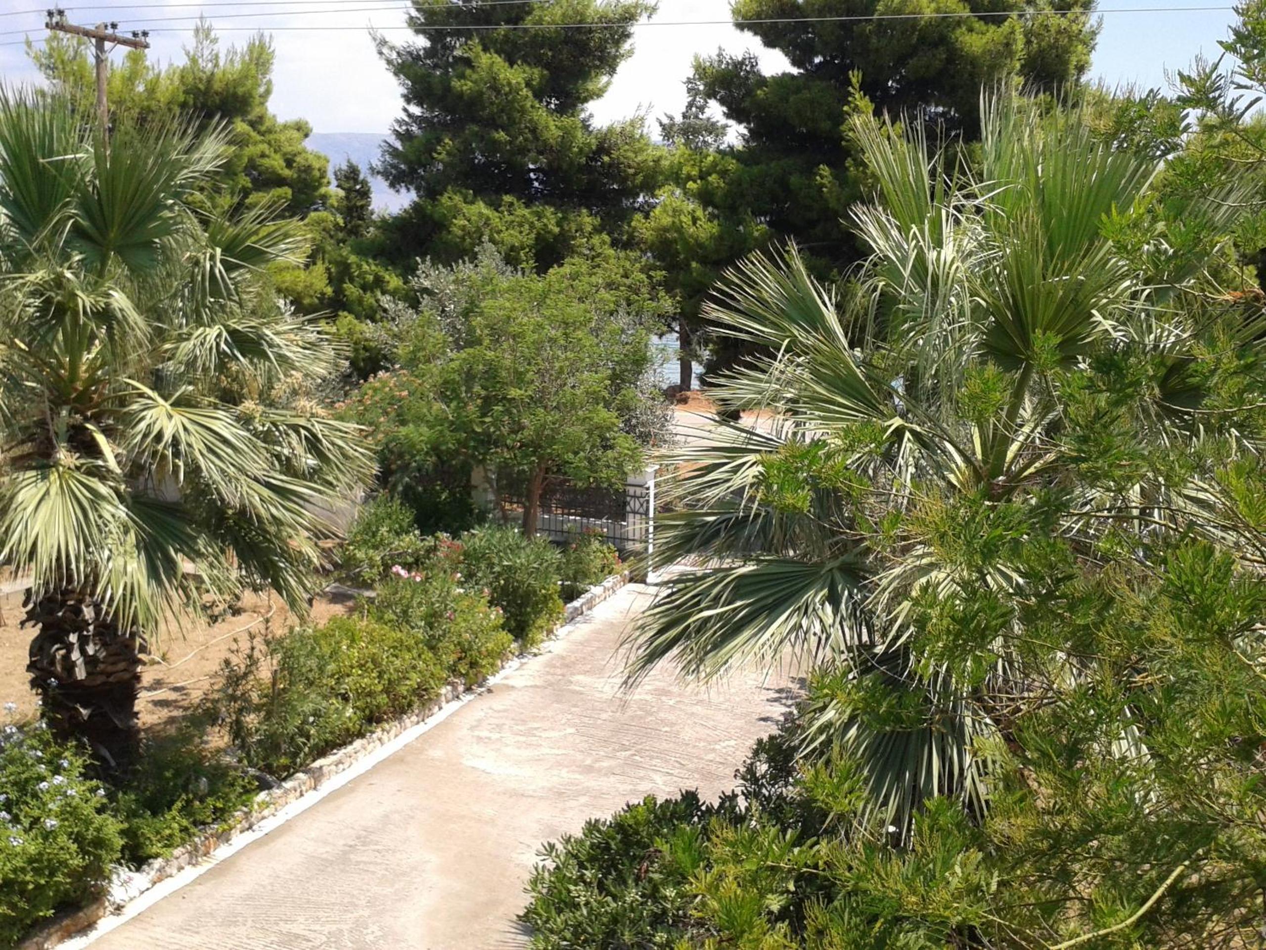 Photo 47