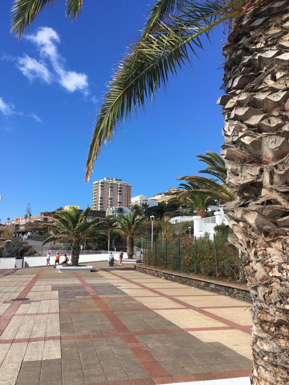 Luxurious Penthouse Suites direct on sea view 3