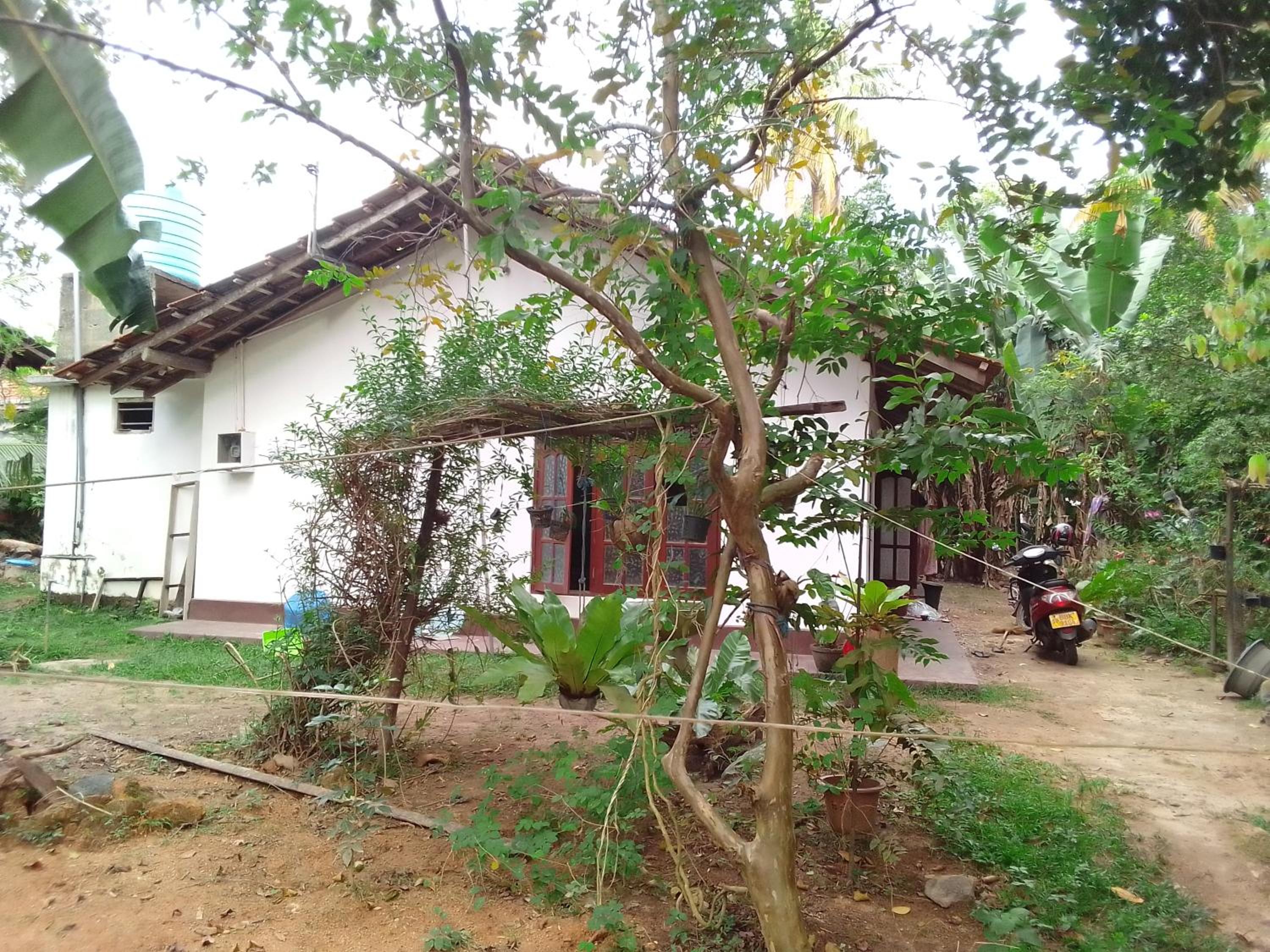 Photo 20