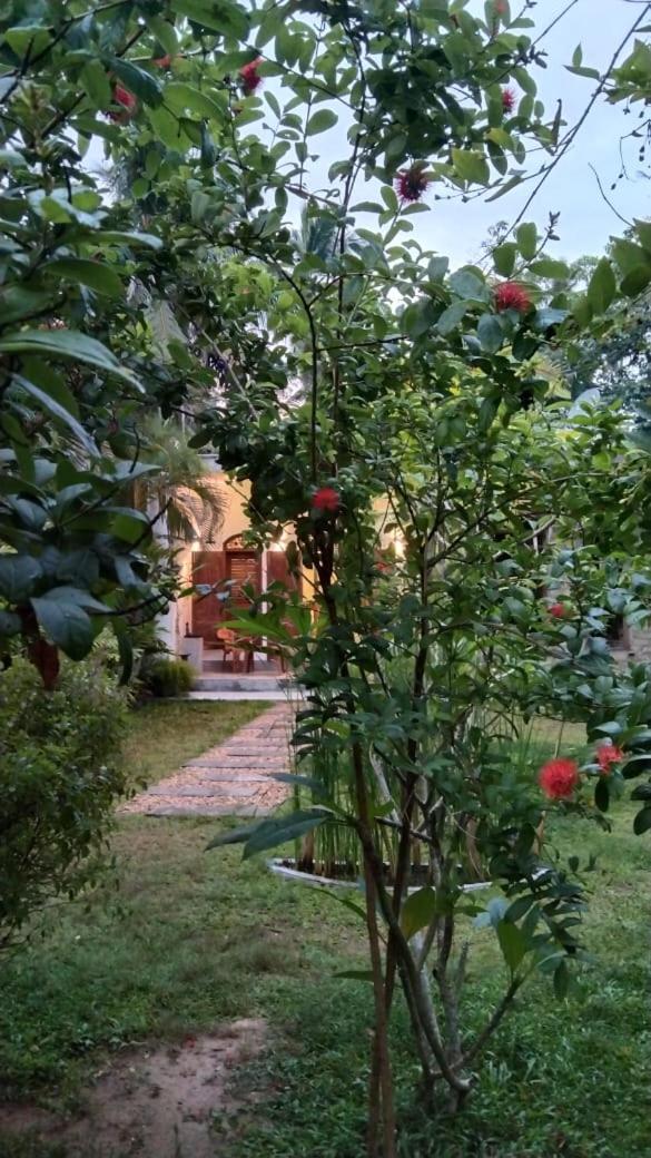 Photo 27