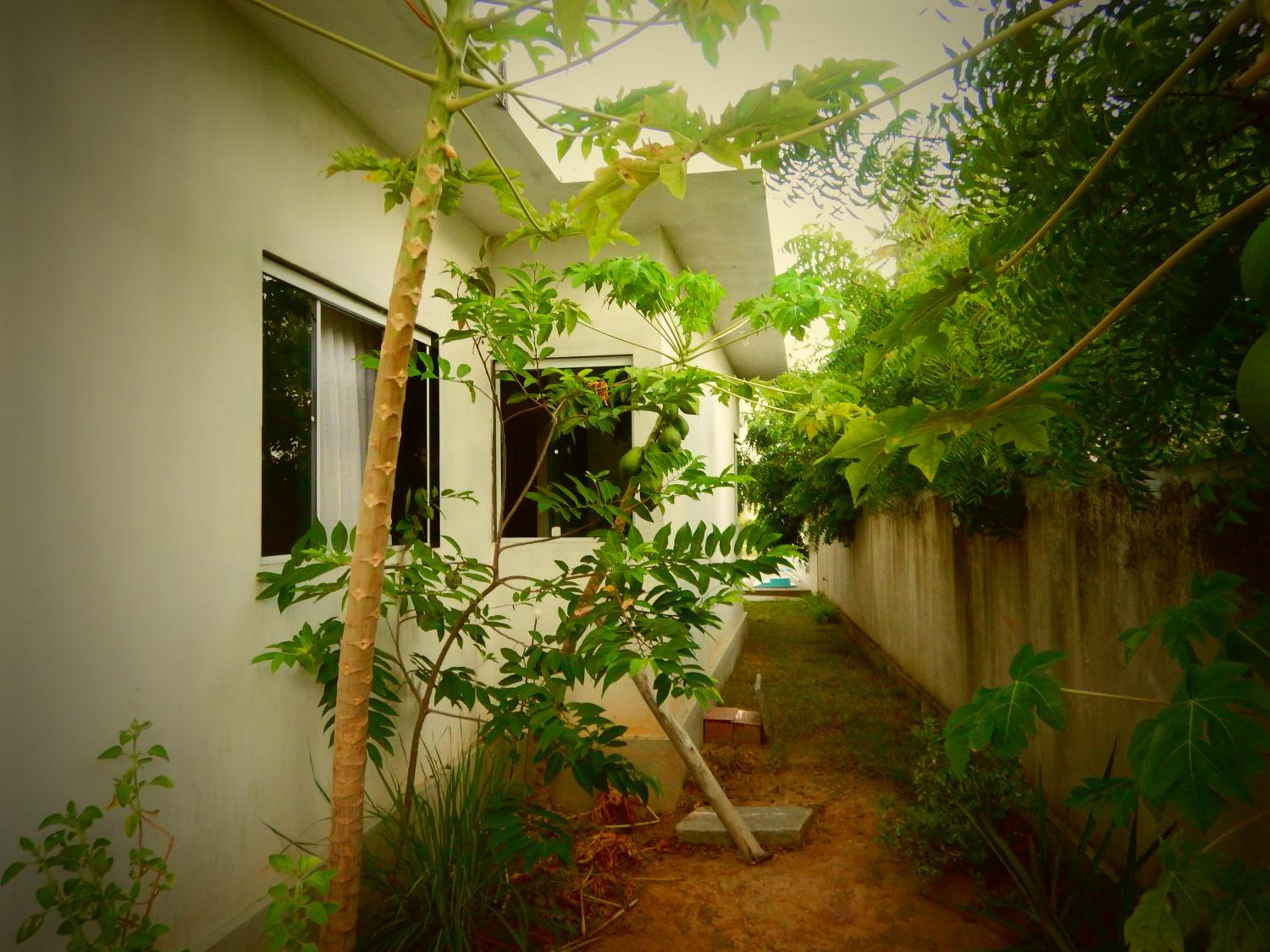 Casa de Praia com Piscina, Peroba - Maragogi