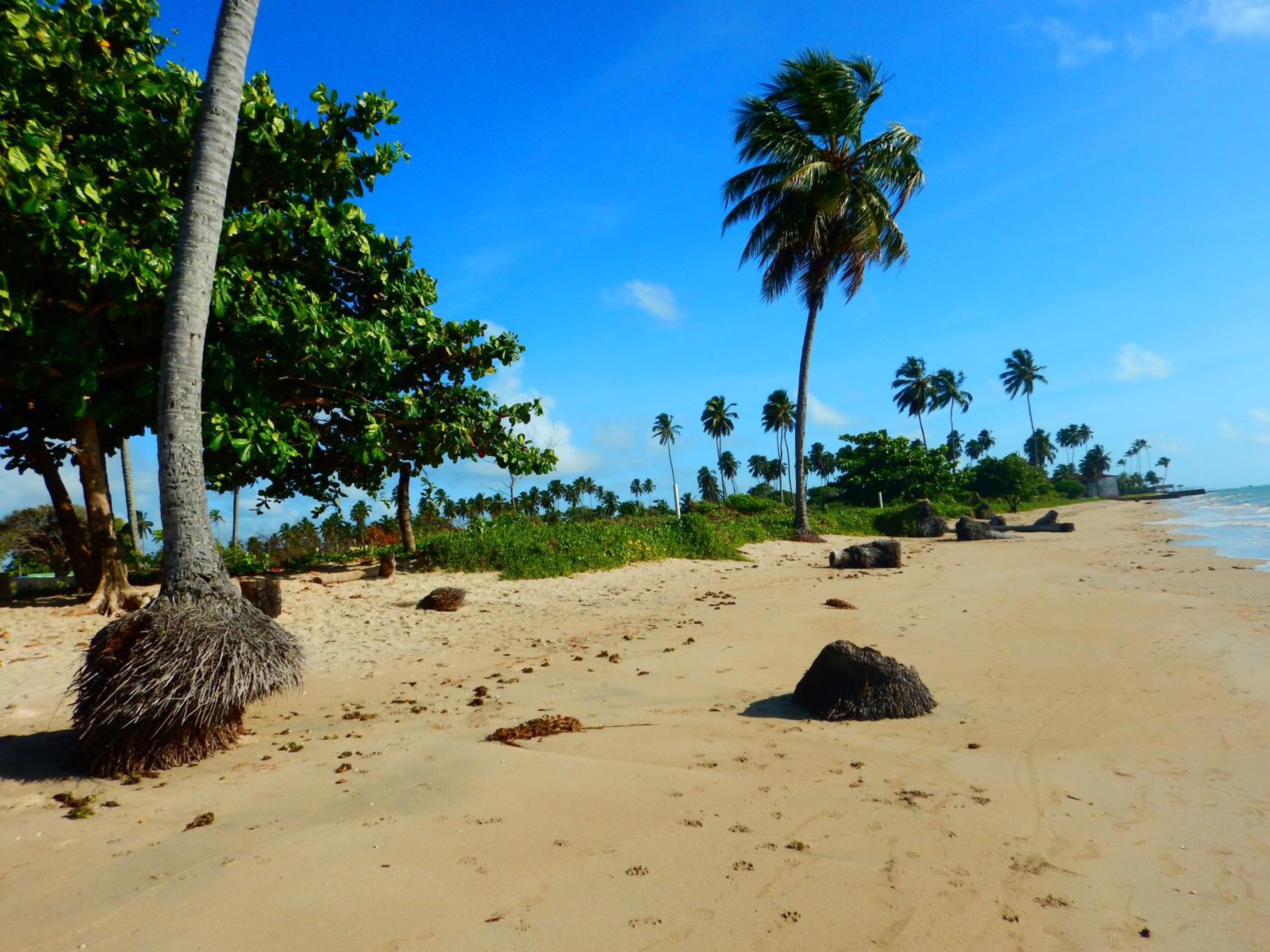 Casa de Praia com Piscina, Peroba - Maragogi