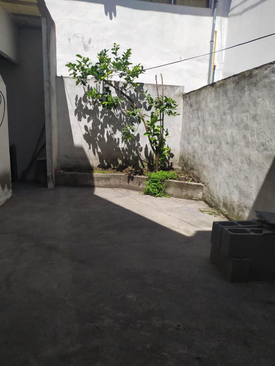 Apartamentos Piolón-Piolón Mar del Plata
