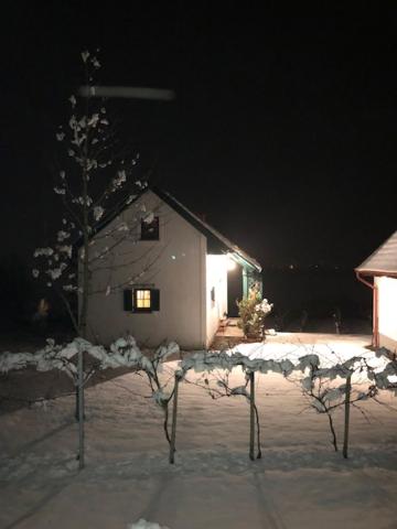 Kellerstöckl Postrumer Weinberg 49