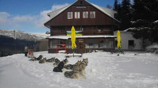 Pension Horalka