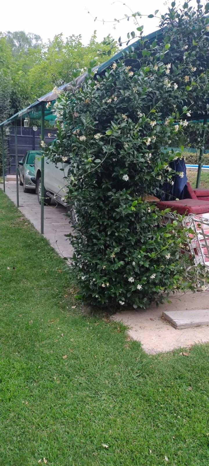 Nuestro Lugar en Luján de Cuyo, cercano a Bodegas y Viñedos