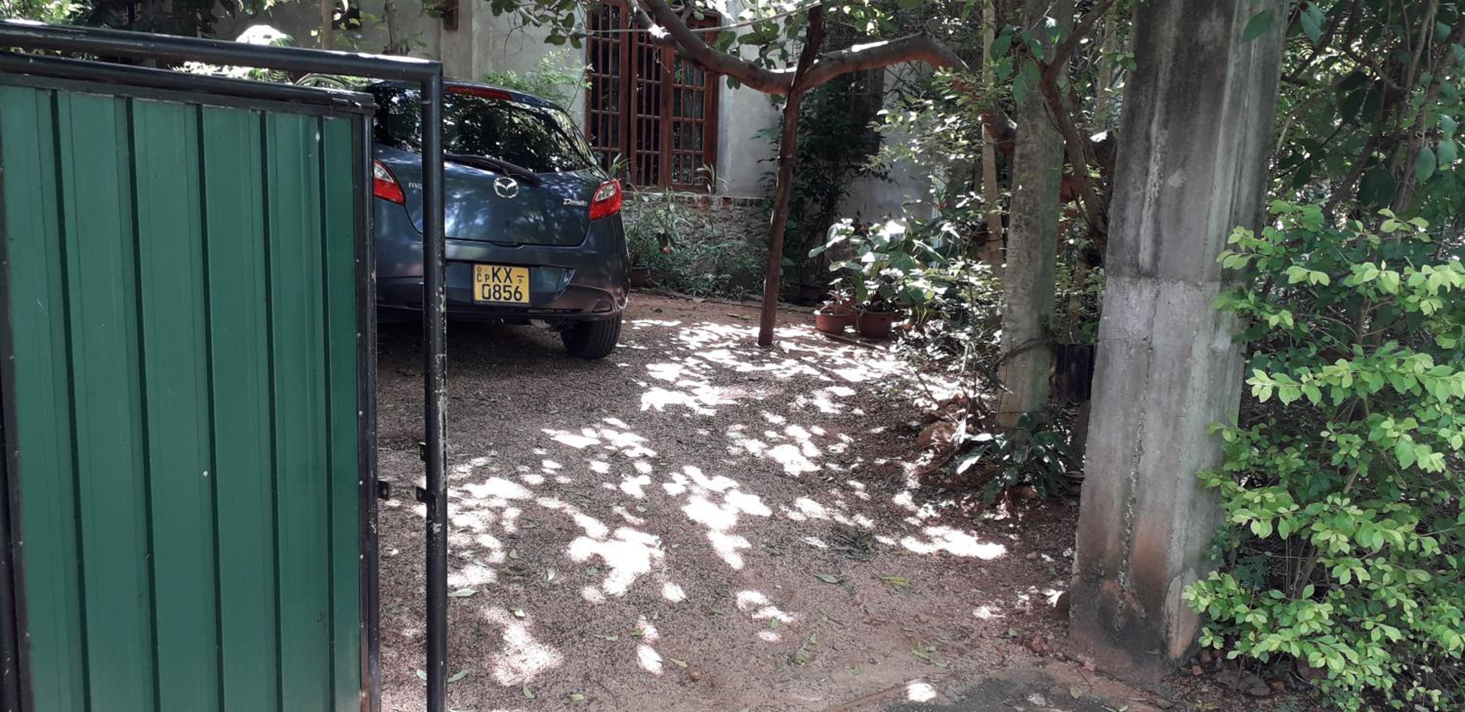 Kon Tree Shade view 4