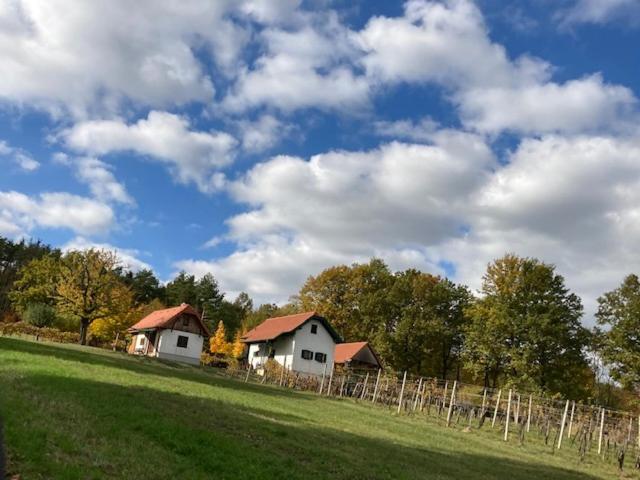 Kellerstöckl Postrumer Weinberg 48