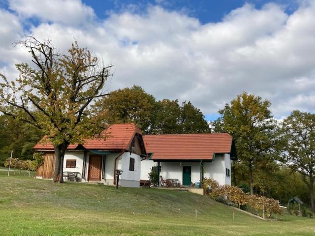 Kellerstöckl Postrumer Weinberg 48