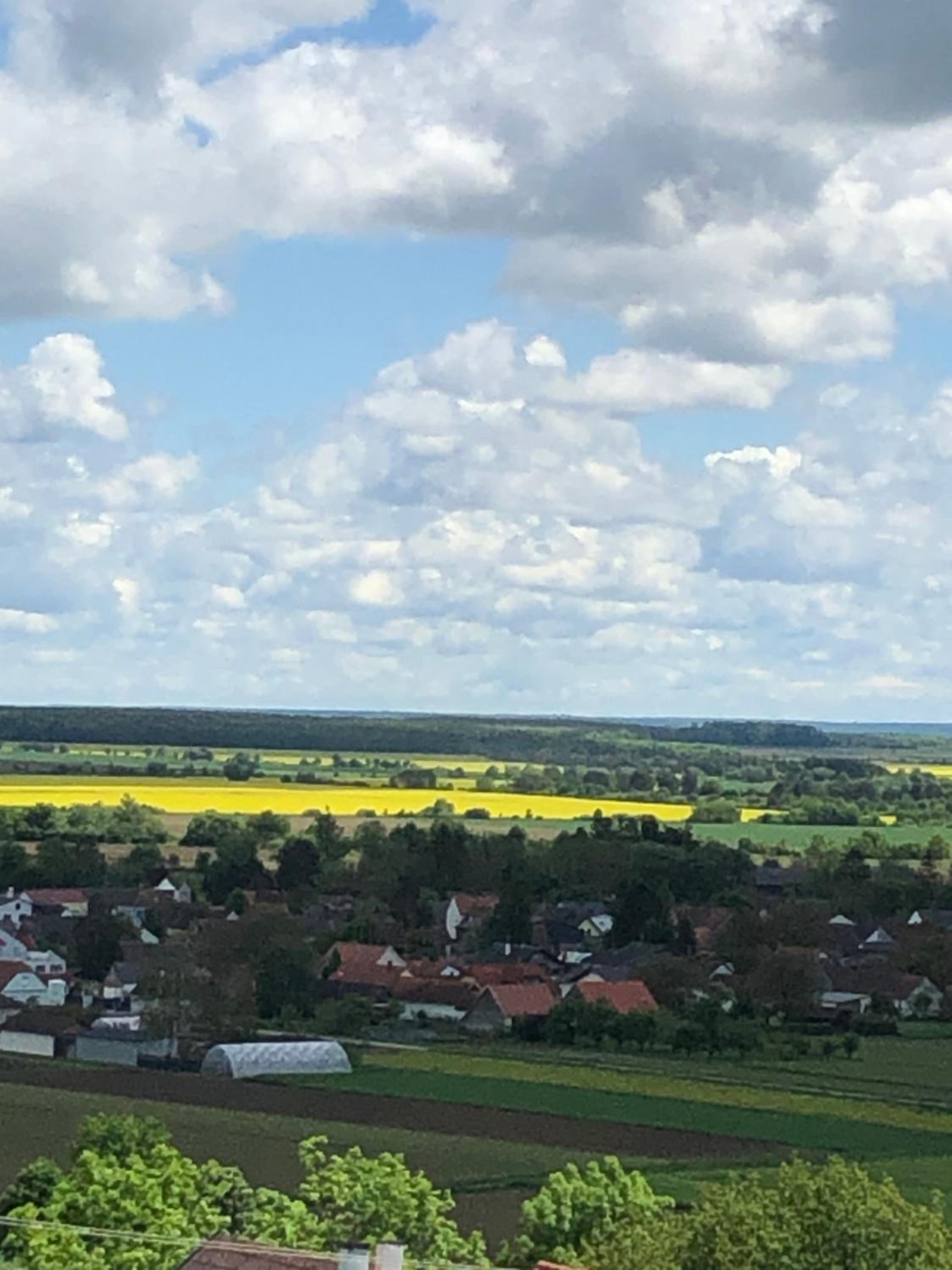 Kellerstöckl Postrumer Weinberg 48