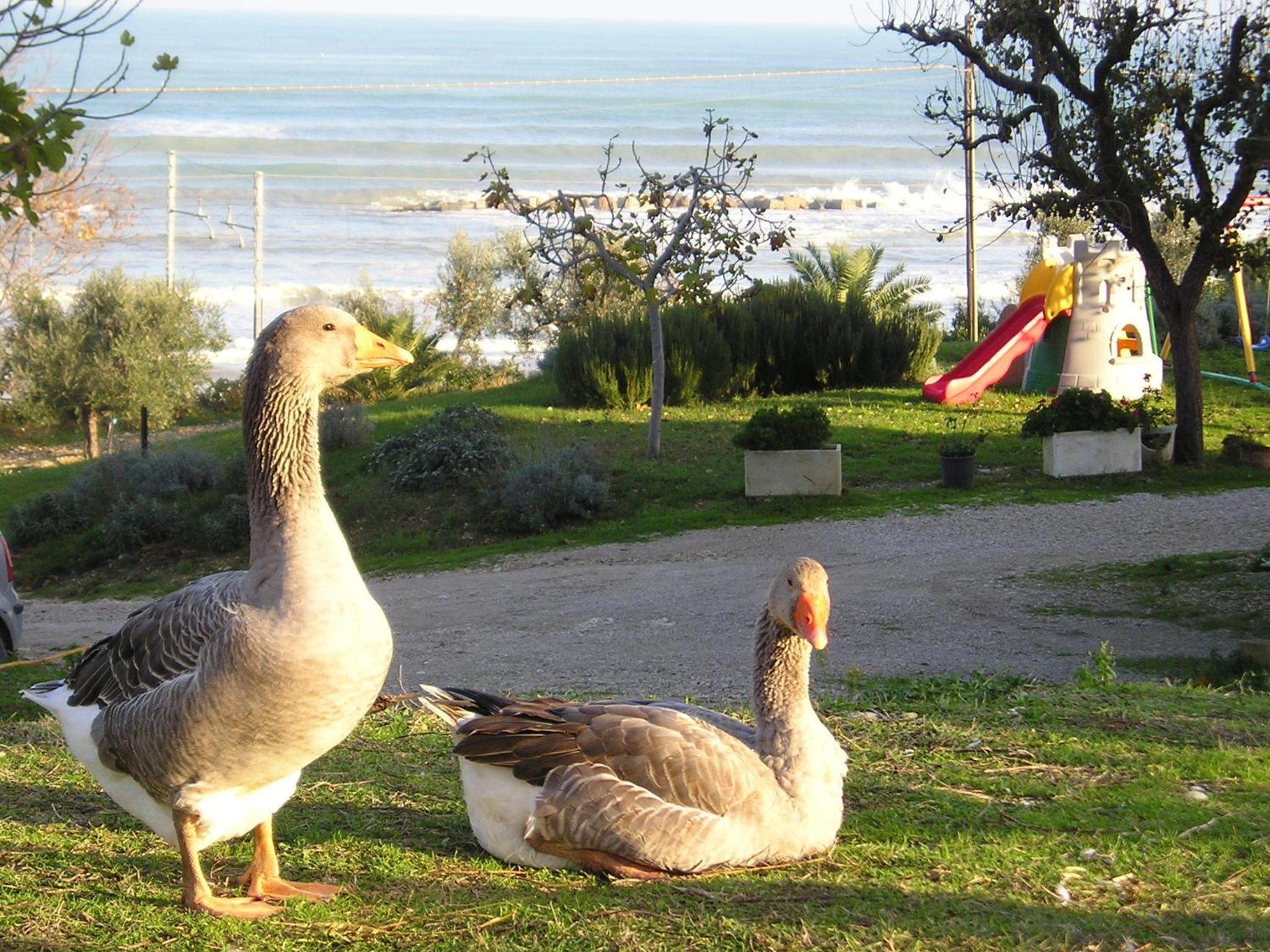 Photo 42