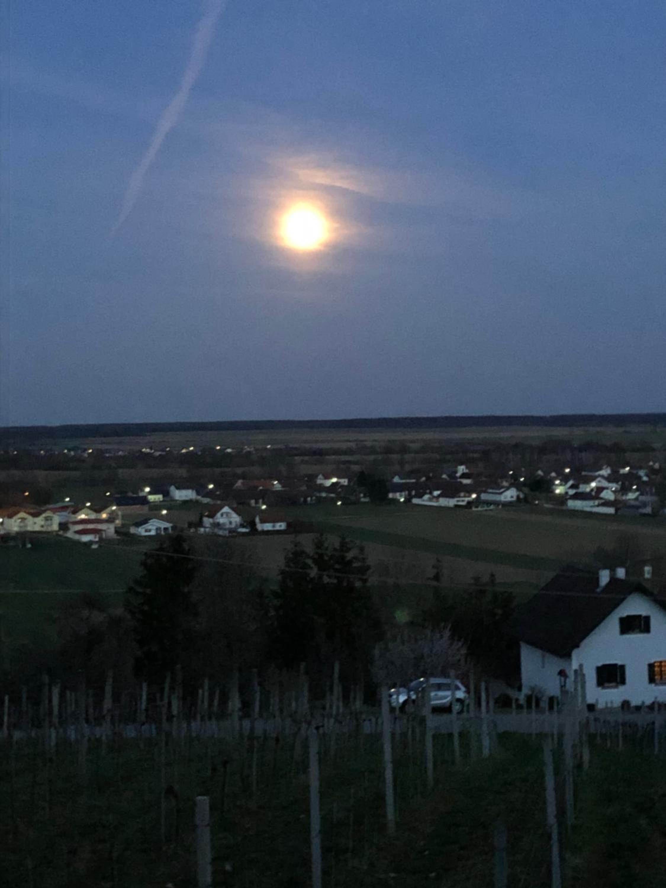 Kellerstöckl Postrumer Weinberg 49