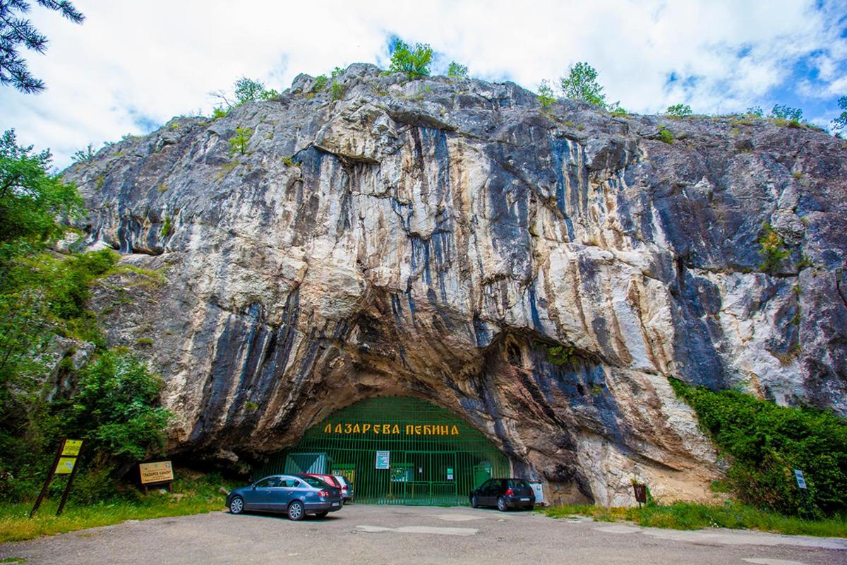 Photo 44