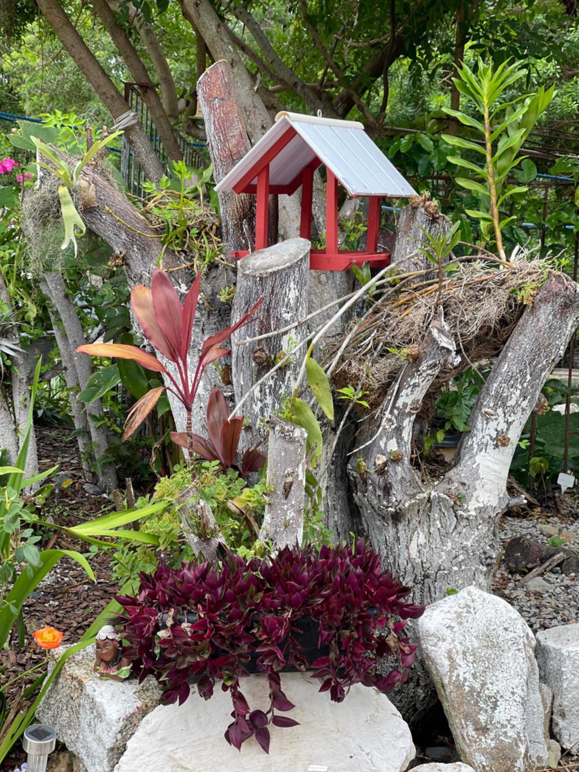 Jardim da Vovó!