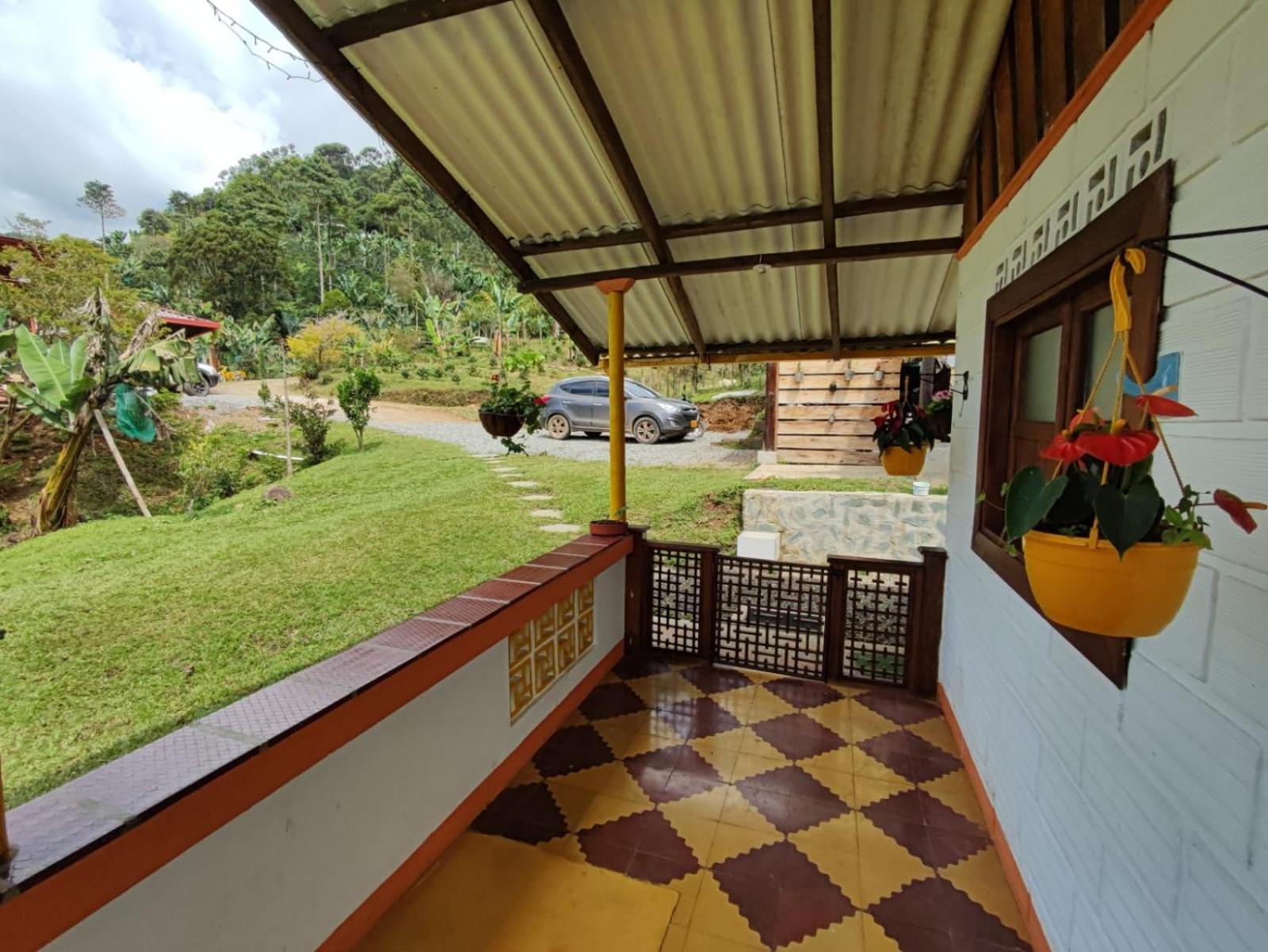 Finca La Antigua. finca tradicional Cafetera