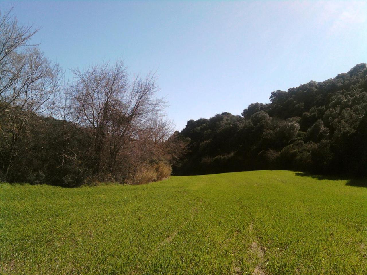 Photo 24
