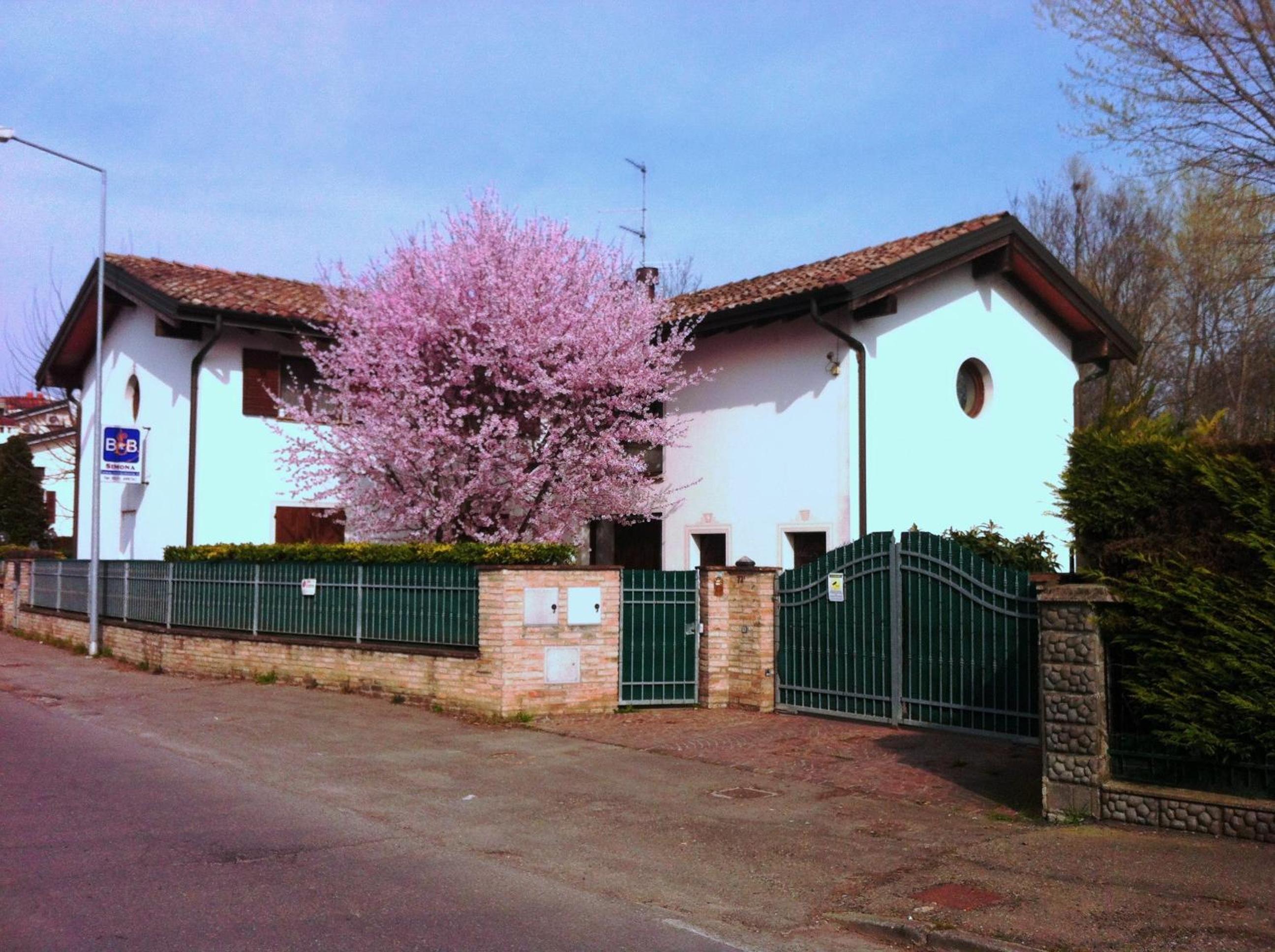 Photo 37