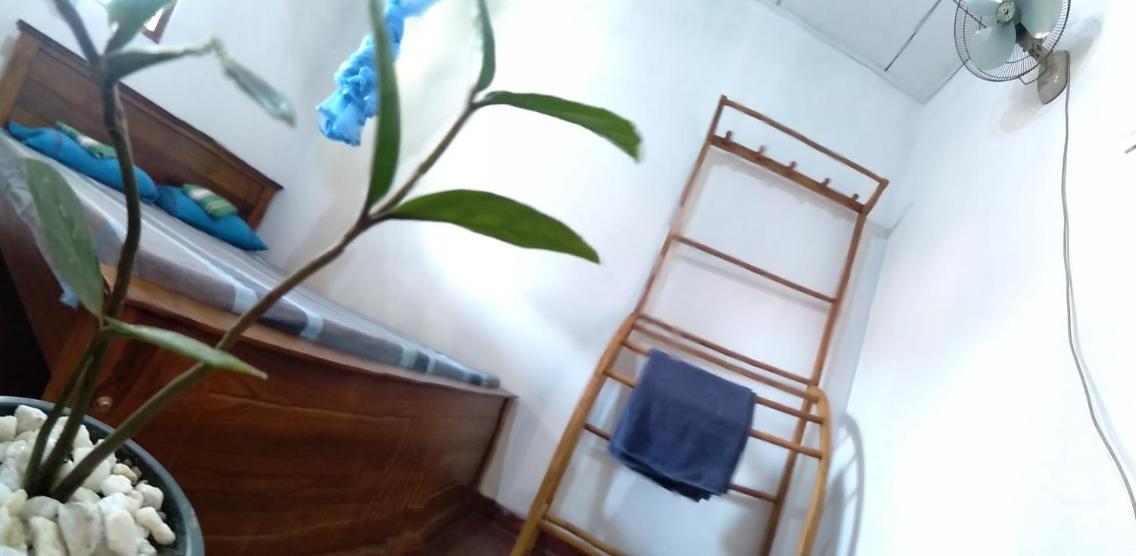 Photo 39