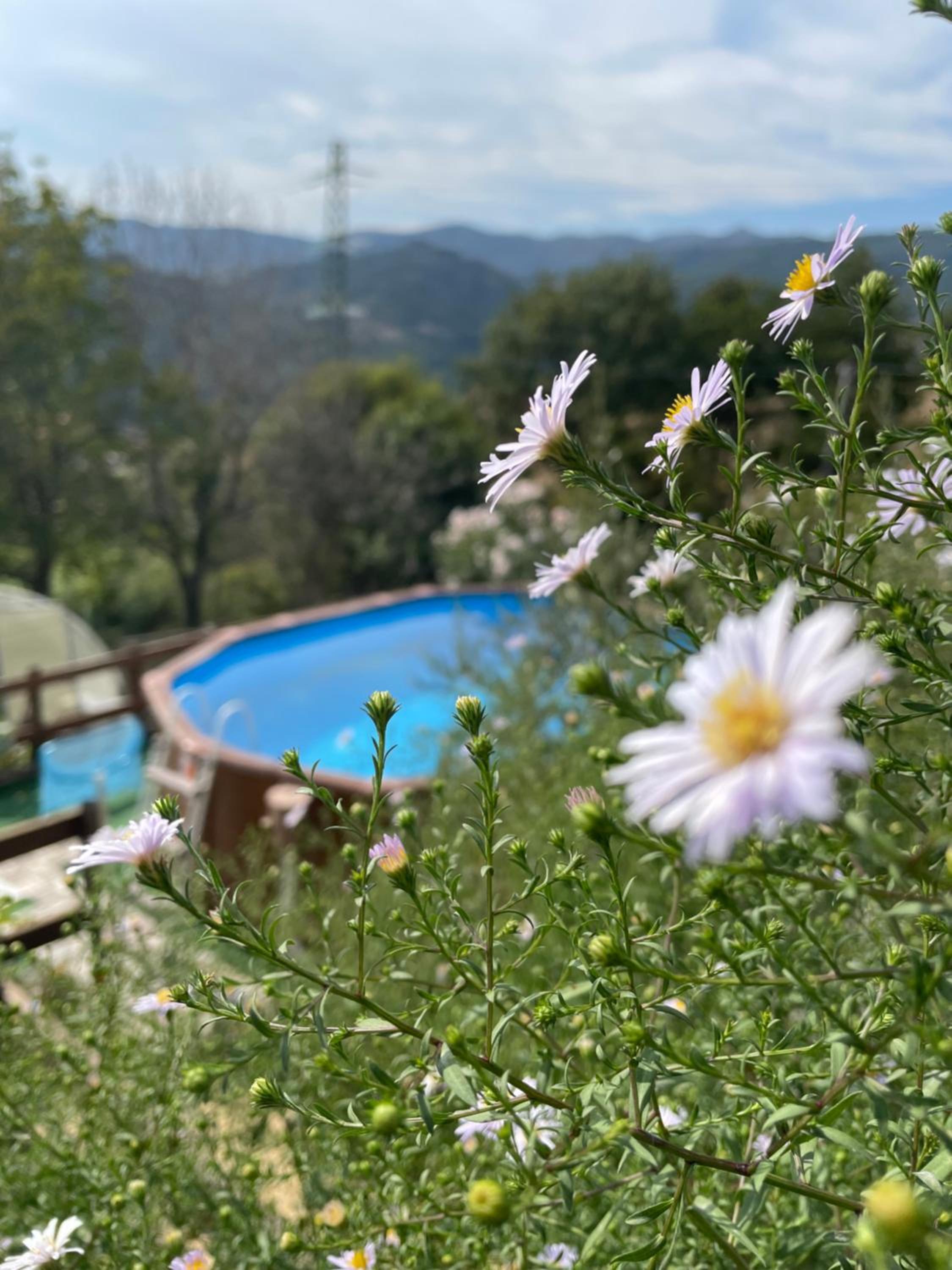Agriturismo Terra e Cielo