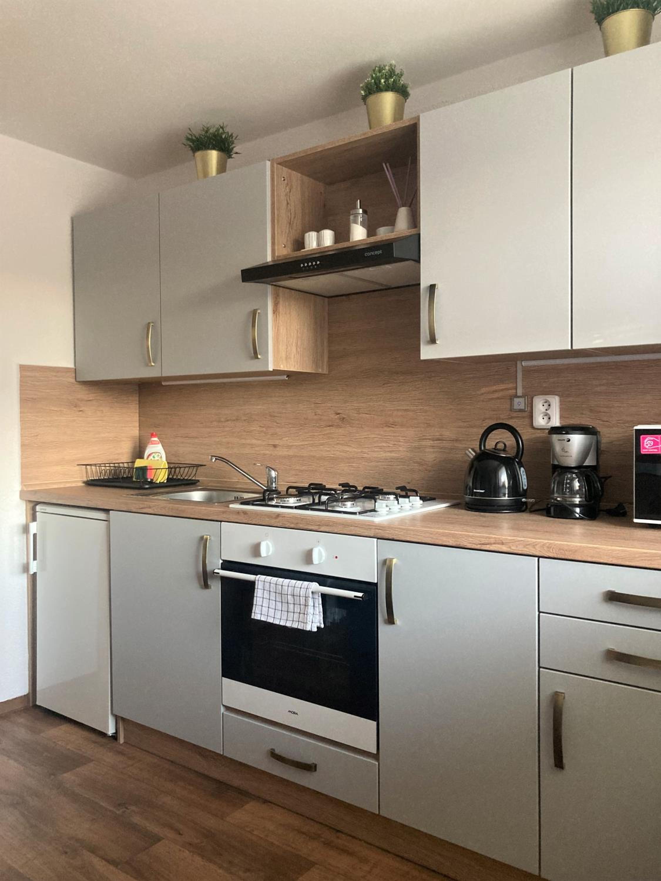 Apartmán Staňkov view 4