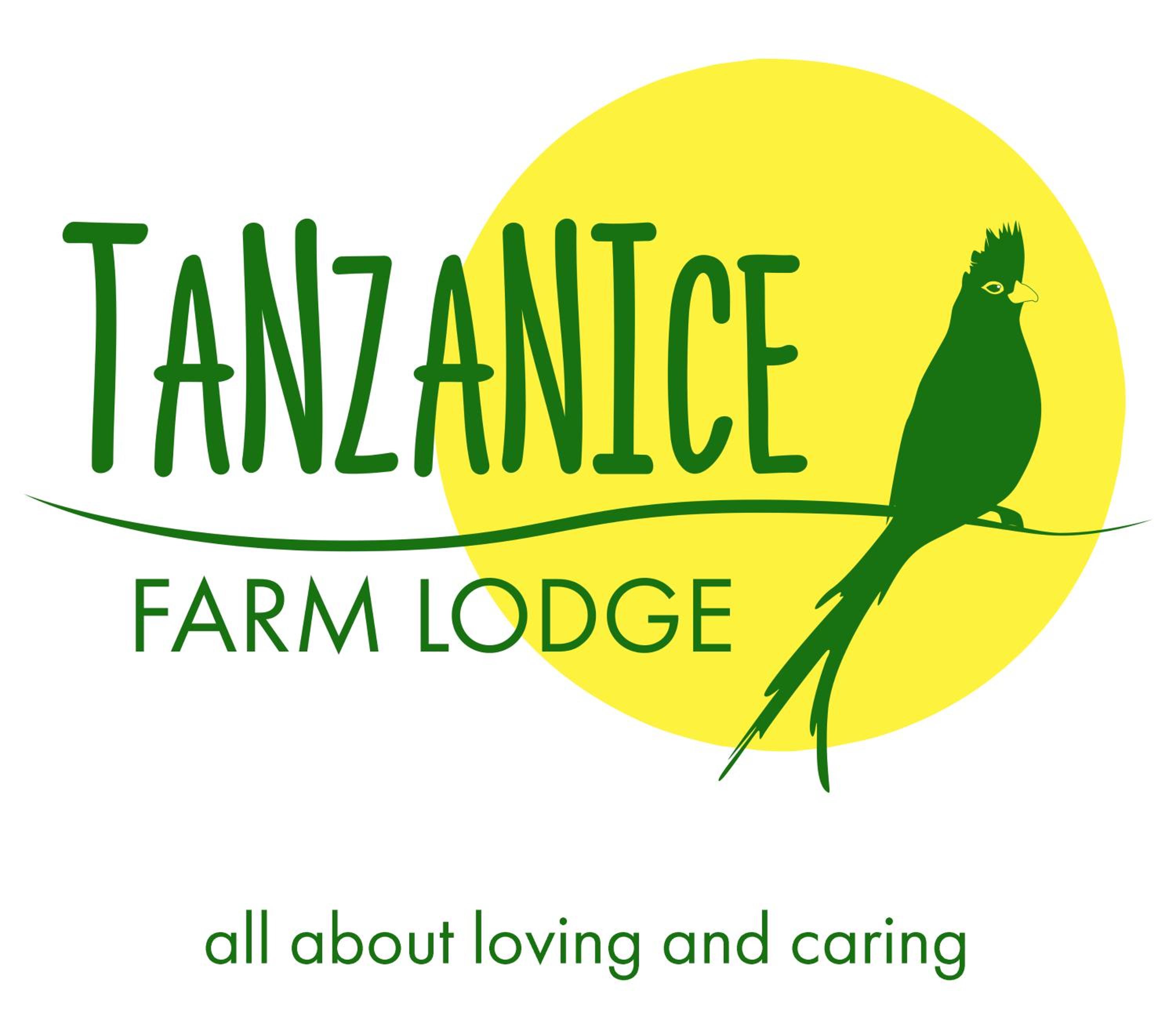 Tanzanice Farm Lodge view 3