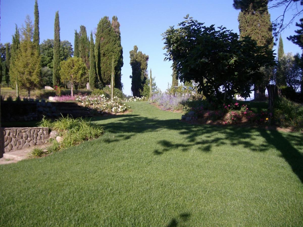 Tenuta Macetona